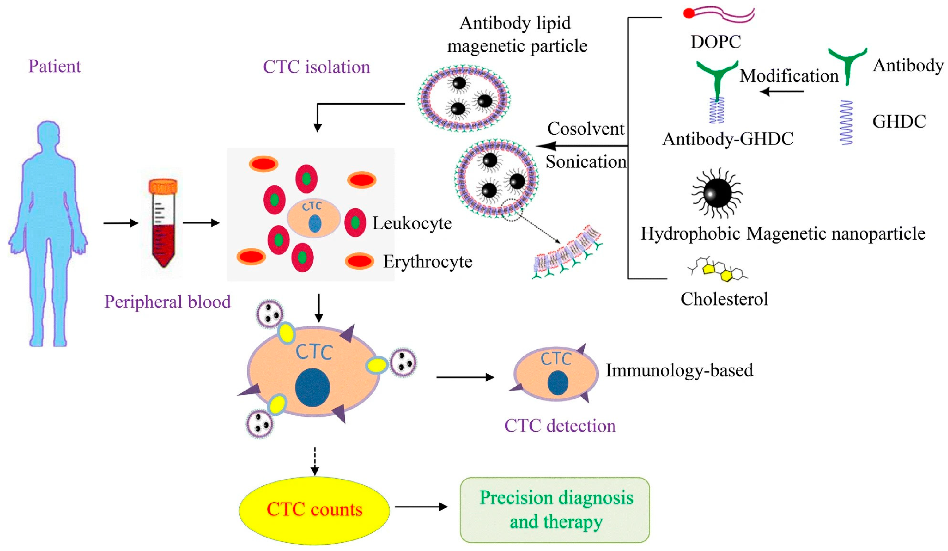 Pharmaceutics 15 02482 g003