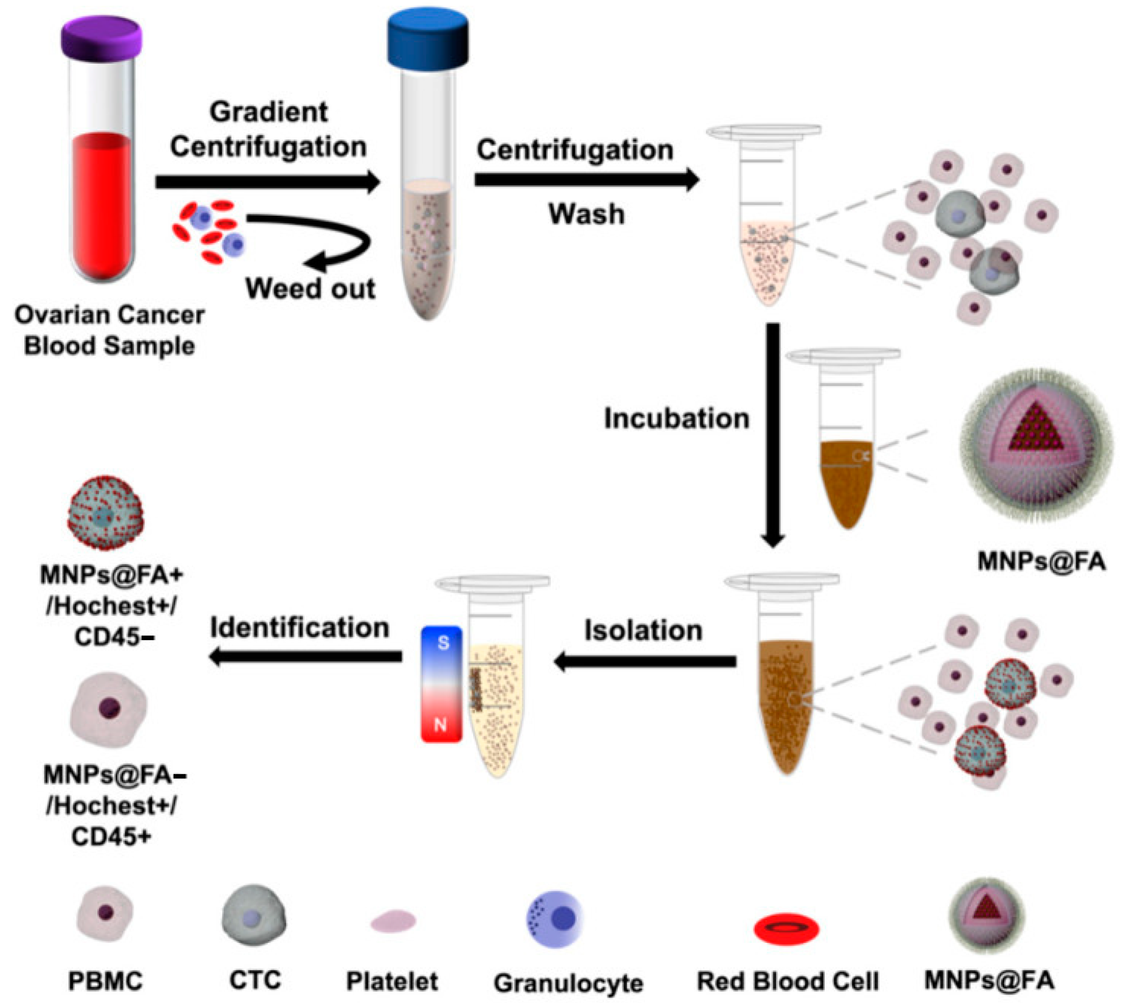 Pharmaceutics 15 02482 g004
