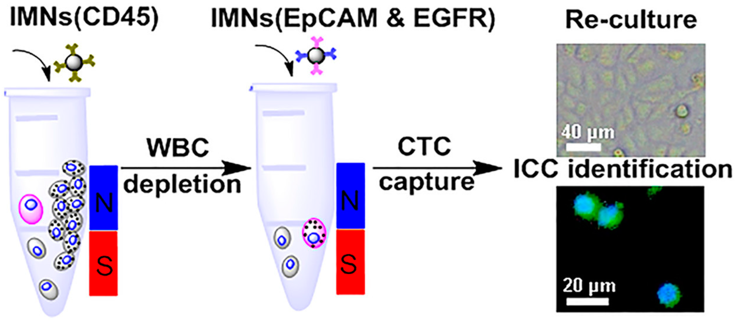 Pharmaceutics 15 02482 g008