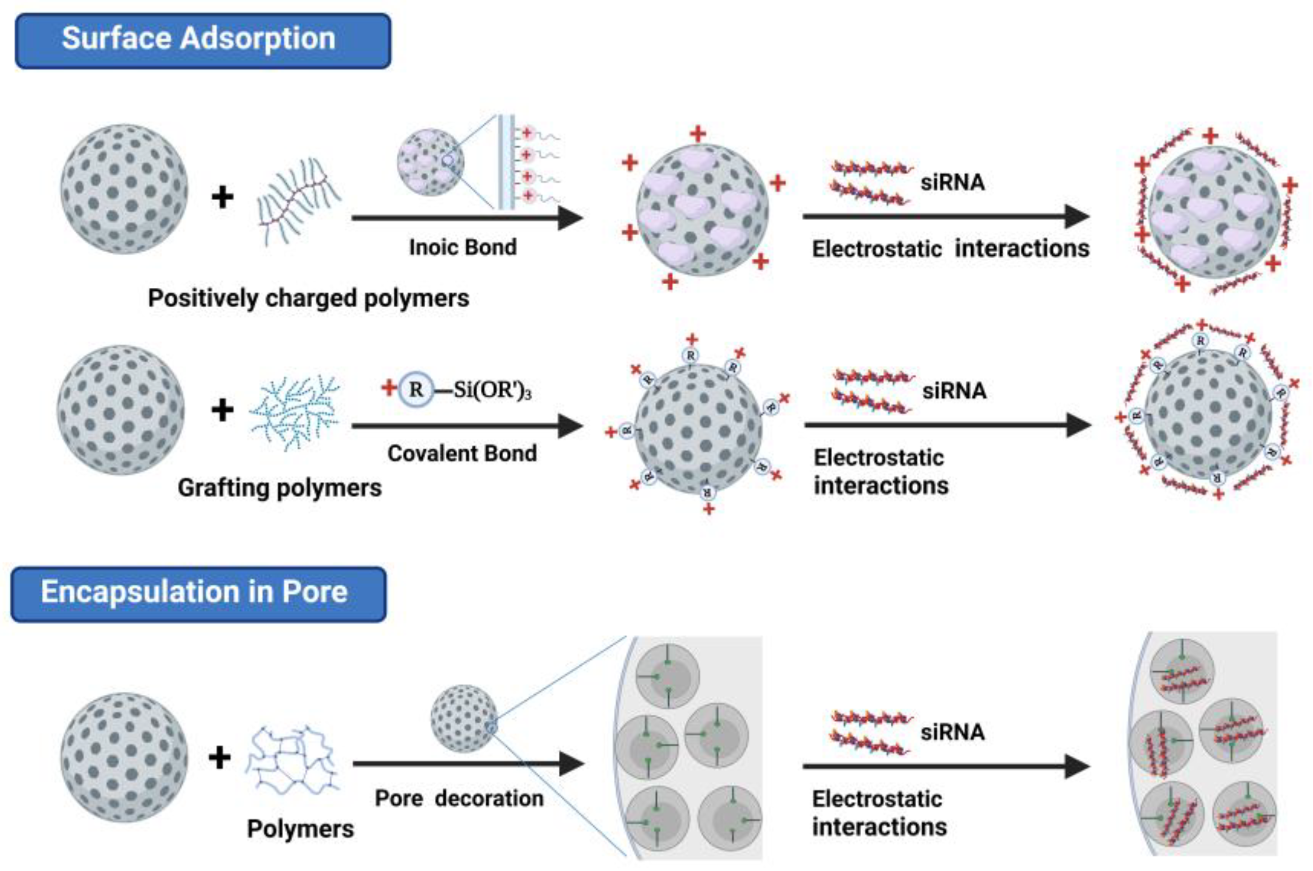 Pharmaceutics 15 02483 g001