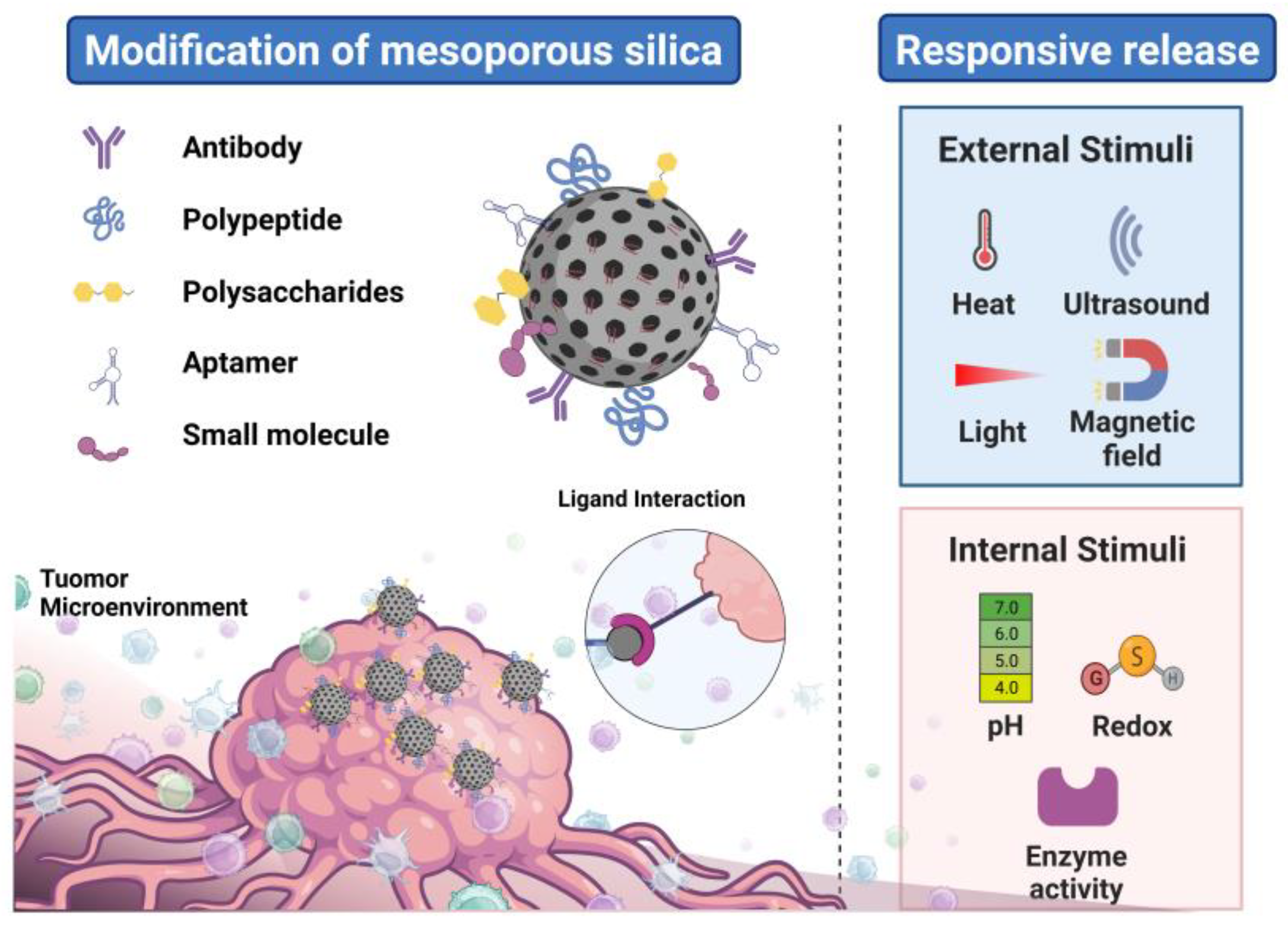 Pharmaceutics 15 02483 g002