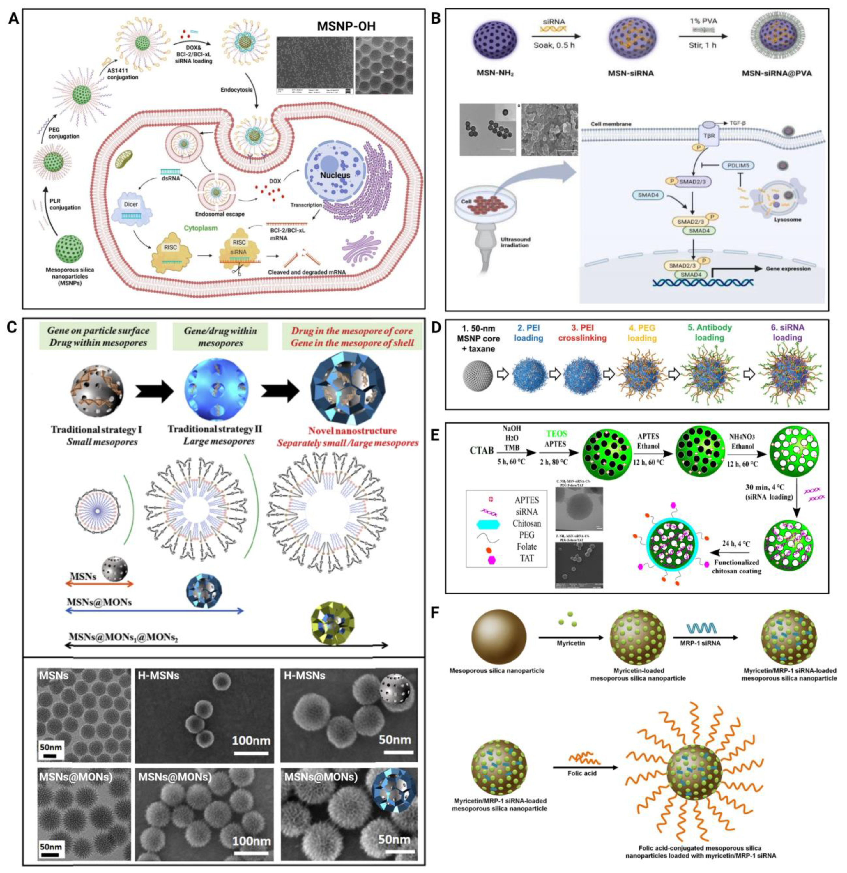 Pharmaceutics 15 02483 g004