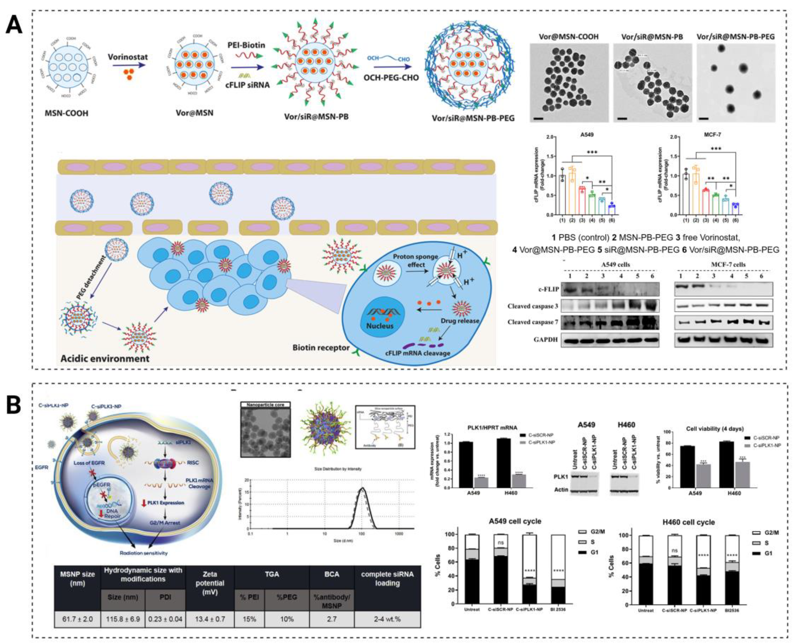 Pharmaceutics 15 02483 g005