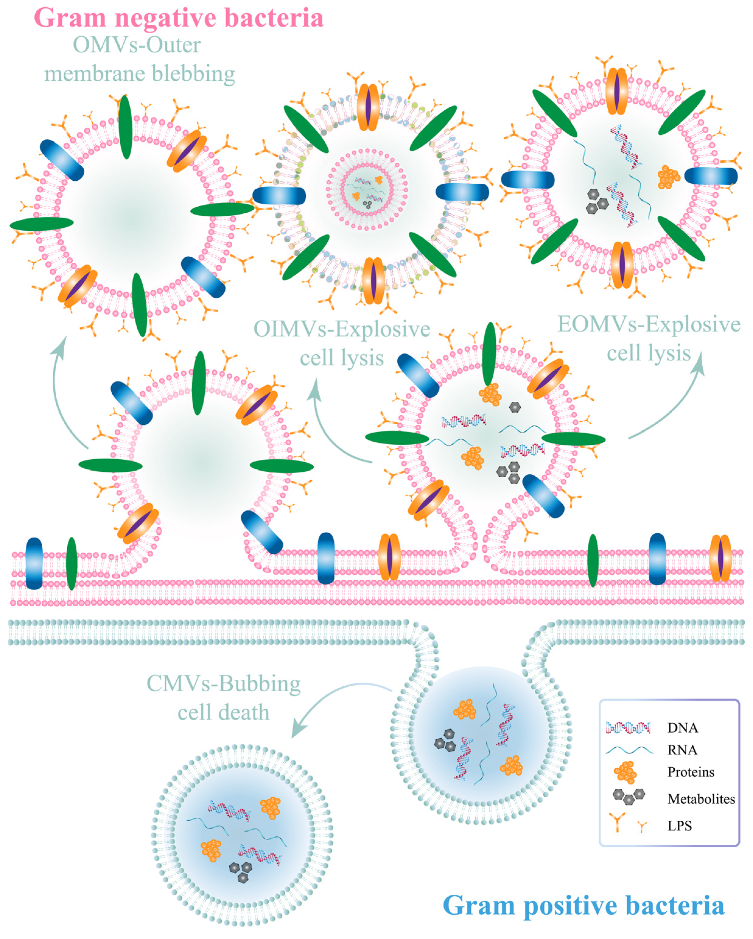 Pharmaceutics 15 02490 g002