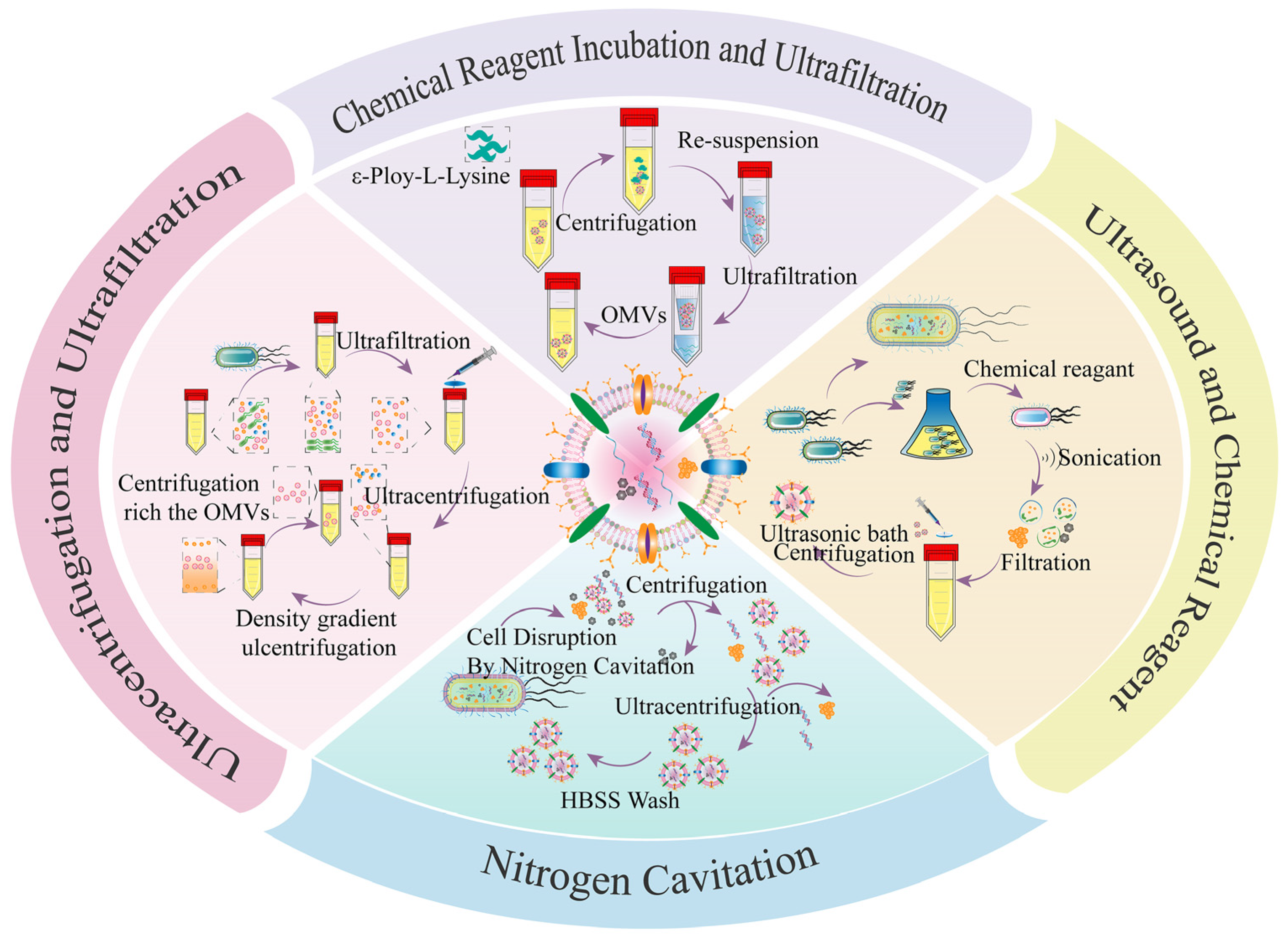Pharmaceutics 15 02490 g003
