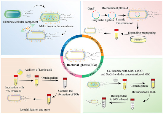 Bacteria and Bacterial Components as Natural Bio-Nanocarriers for Drug ...