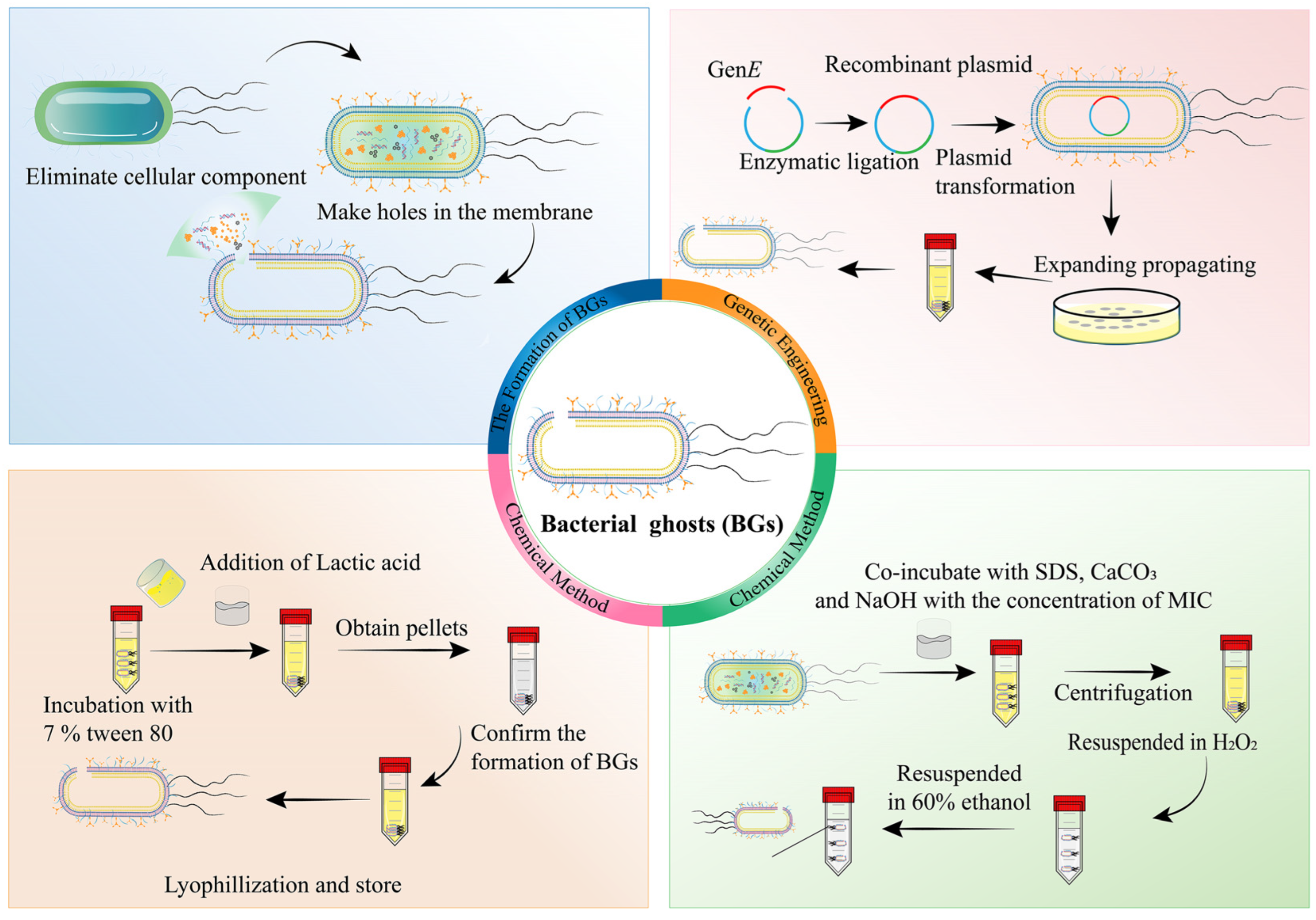 Pharmaceutics 15 02490 g004