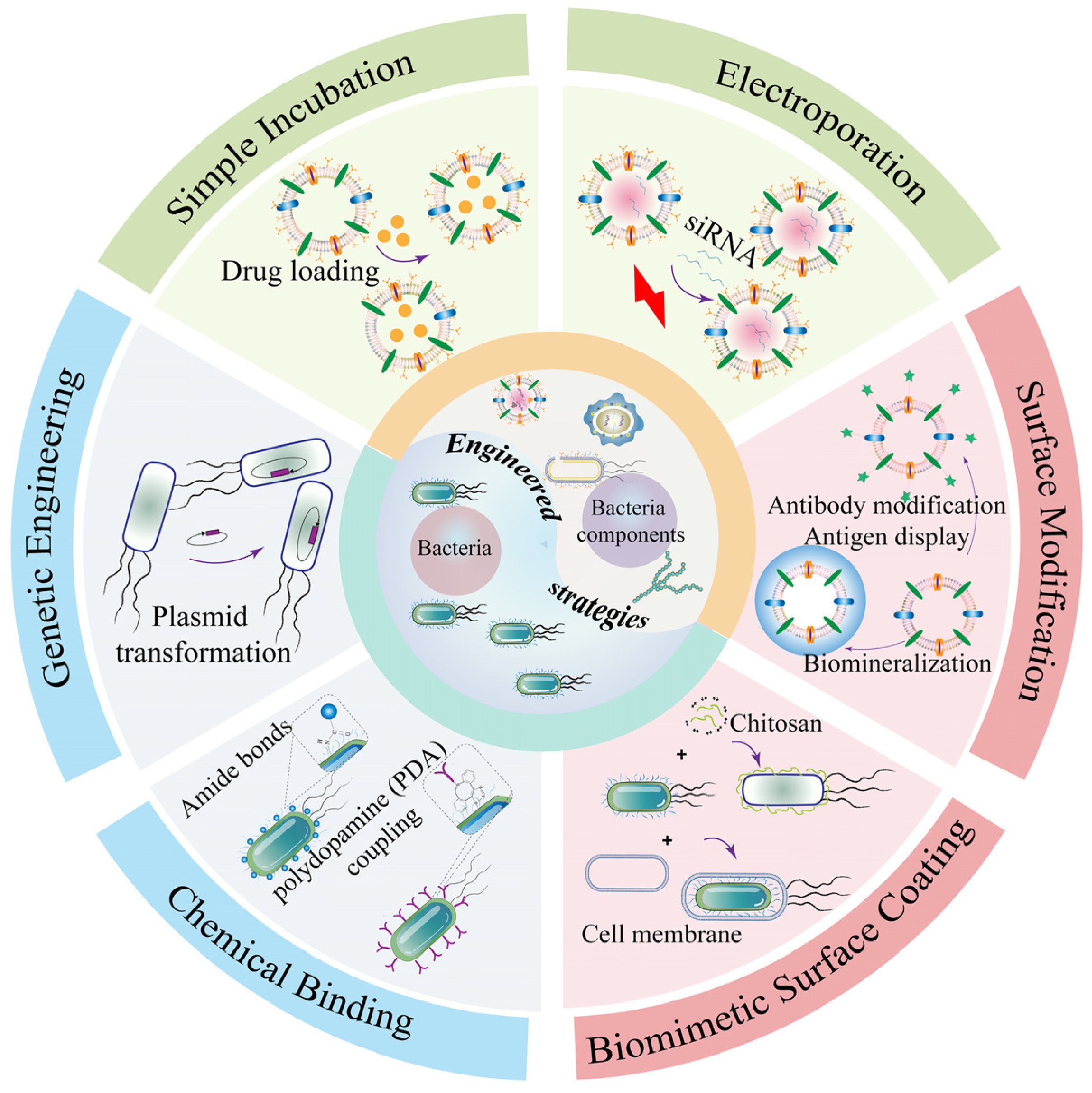 Pharmaceutics 15 02490 g006