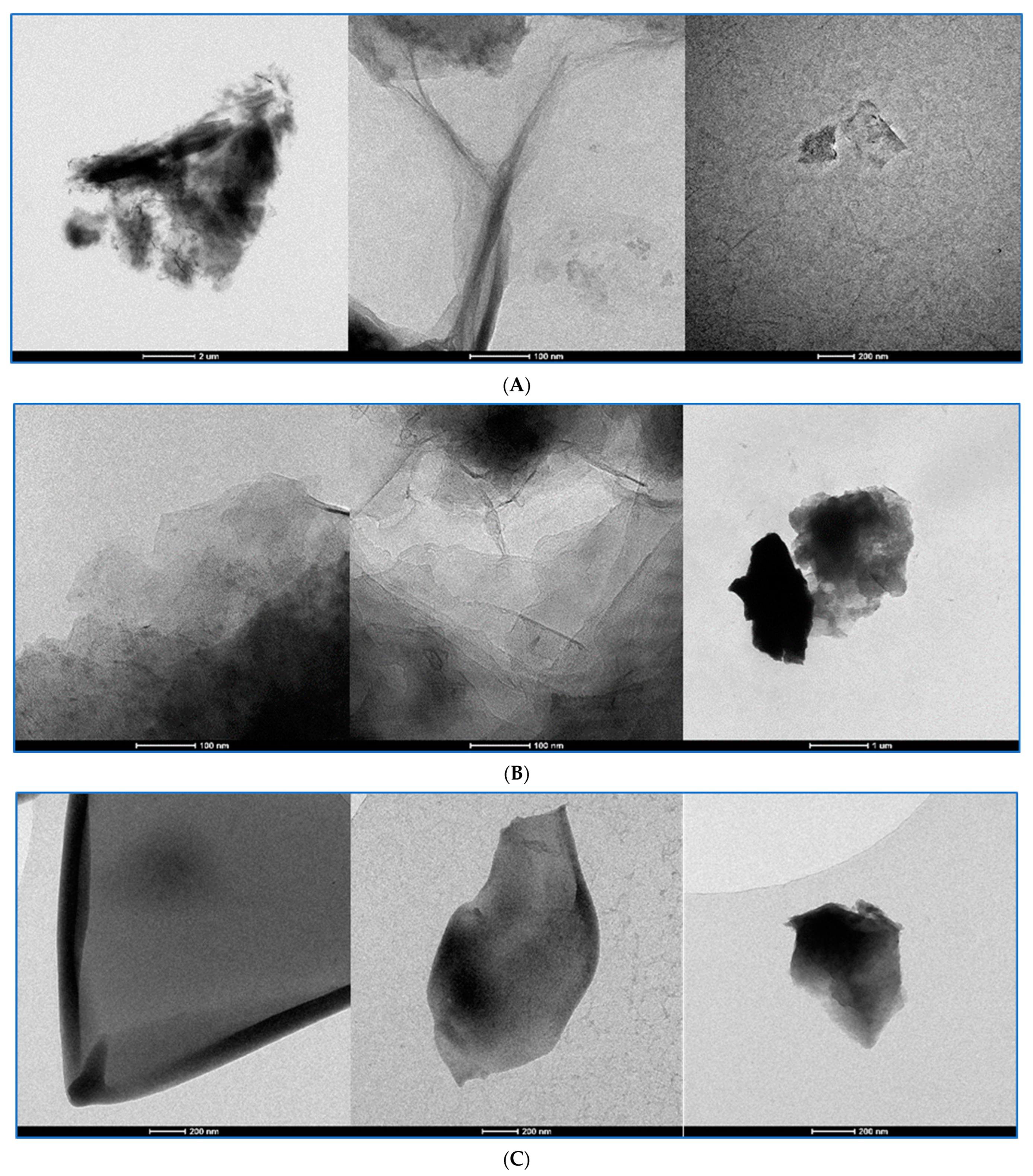 Pharmaceutics 15 02495 g012