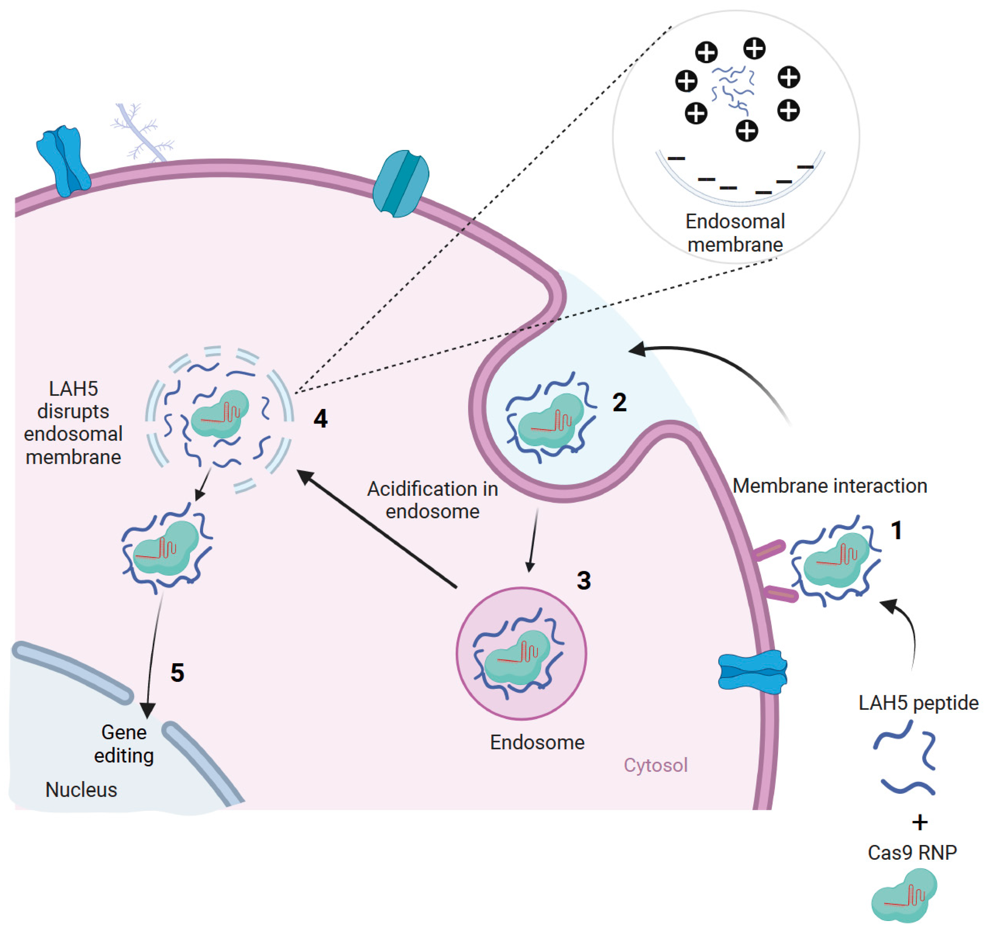 Pharmaceutics 15 02500 g001