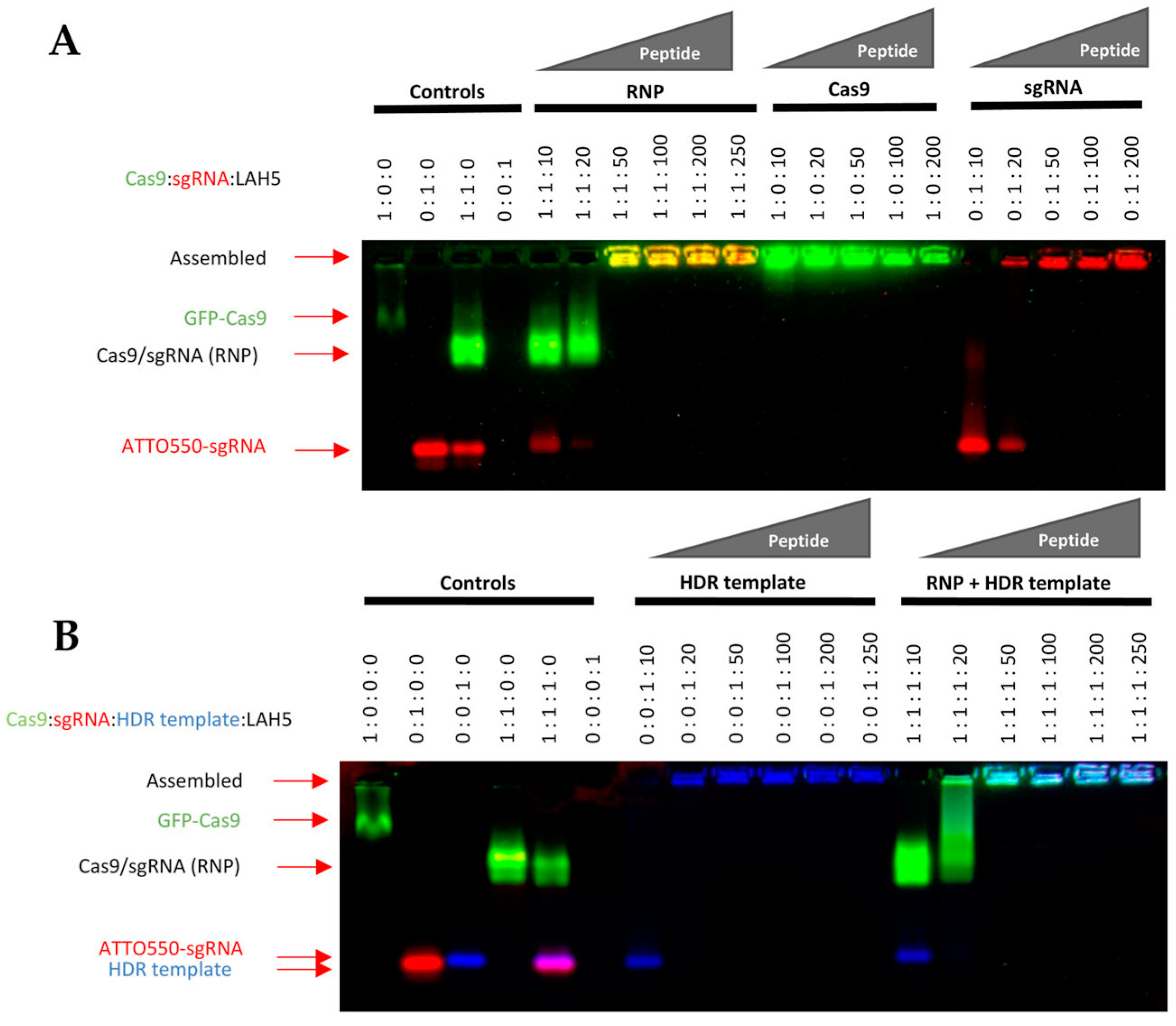 Pharmaceutics 15 02500 g002