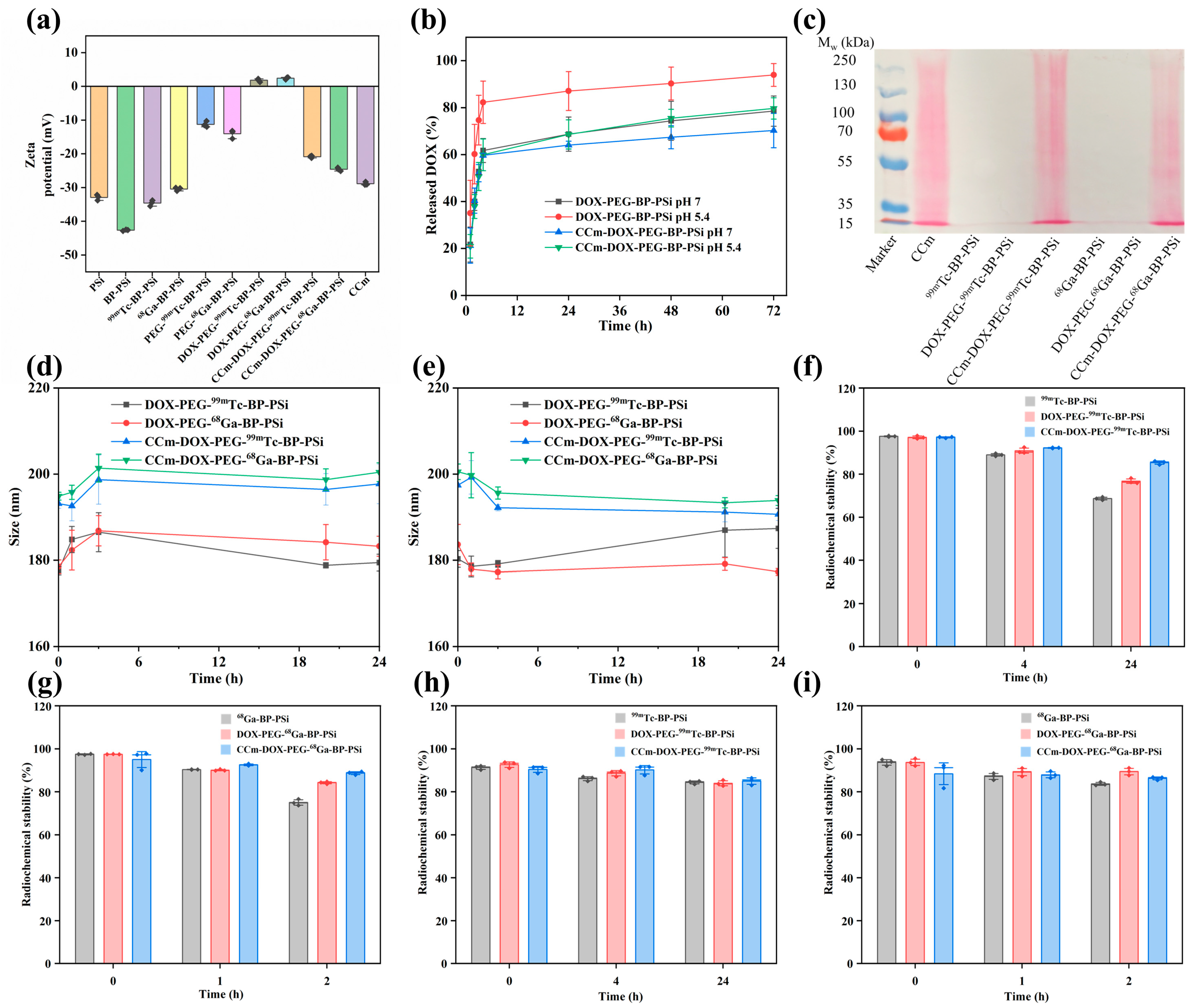 Pharmaceutics 15 02507 g003