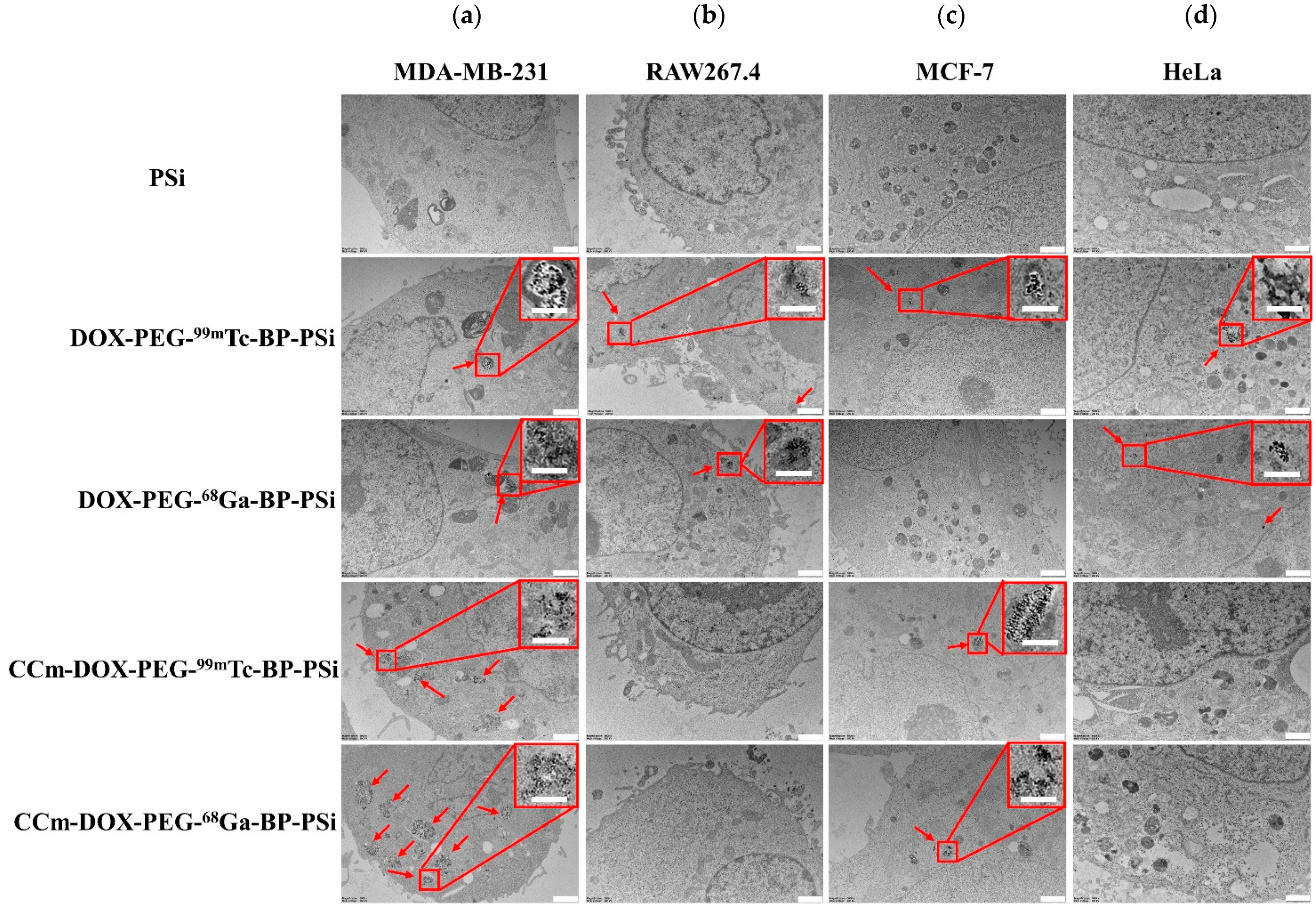 Pharmaceutics 15 02507 g005