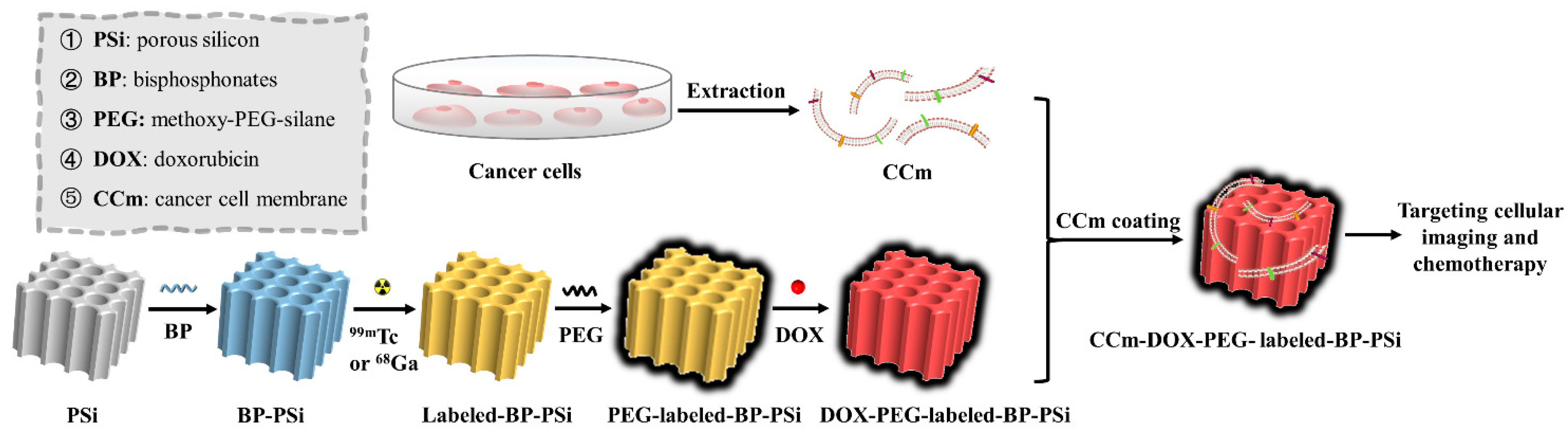 Pharmaceutics 15 02507 sch001