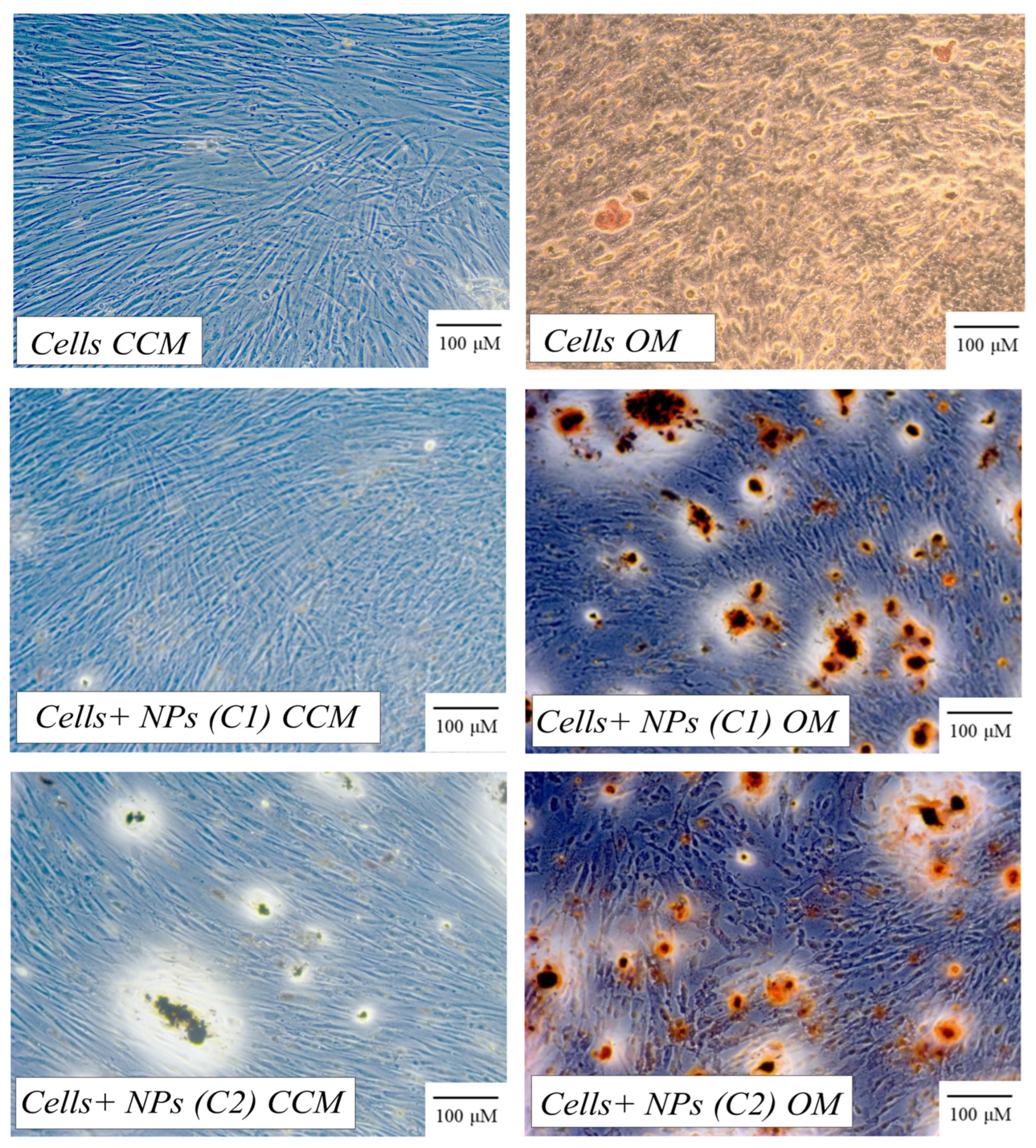 Pharmaceutics 15 02509 g003
