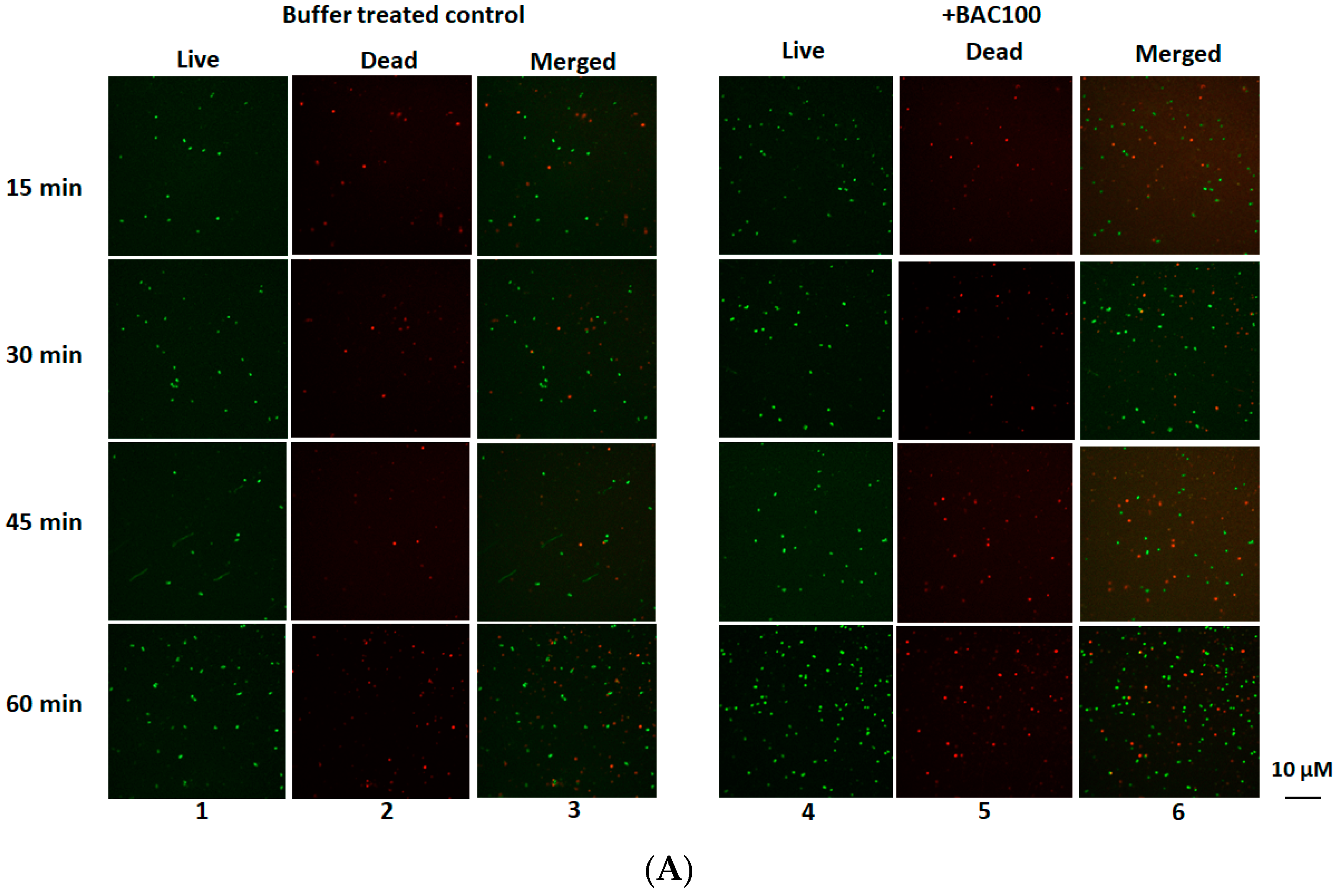 Pharmaceutics 15 02511 g004a