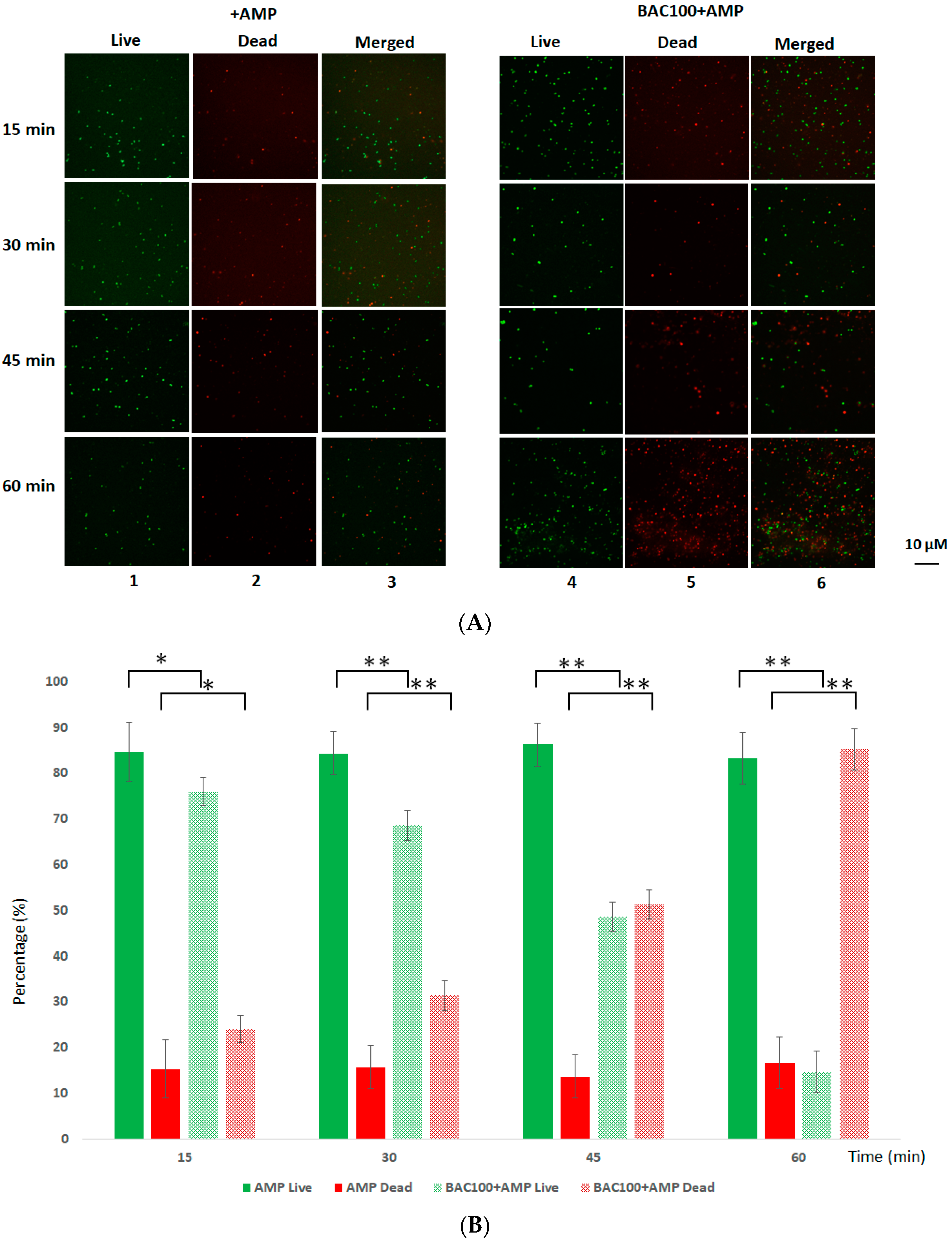 Pharmaceutics 15 02511 g005