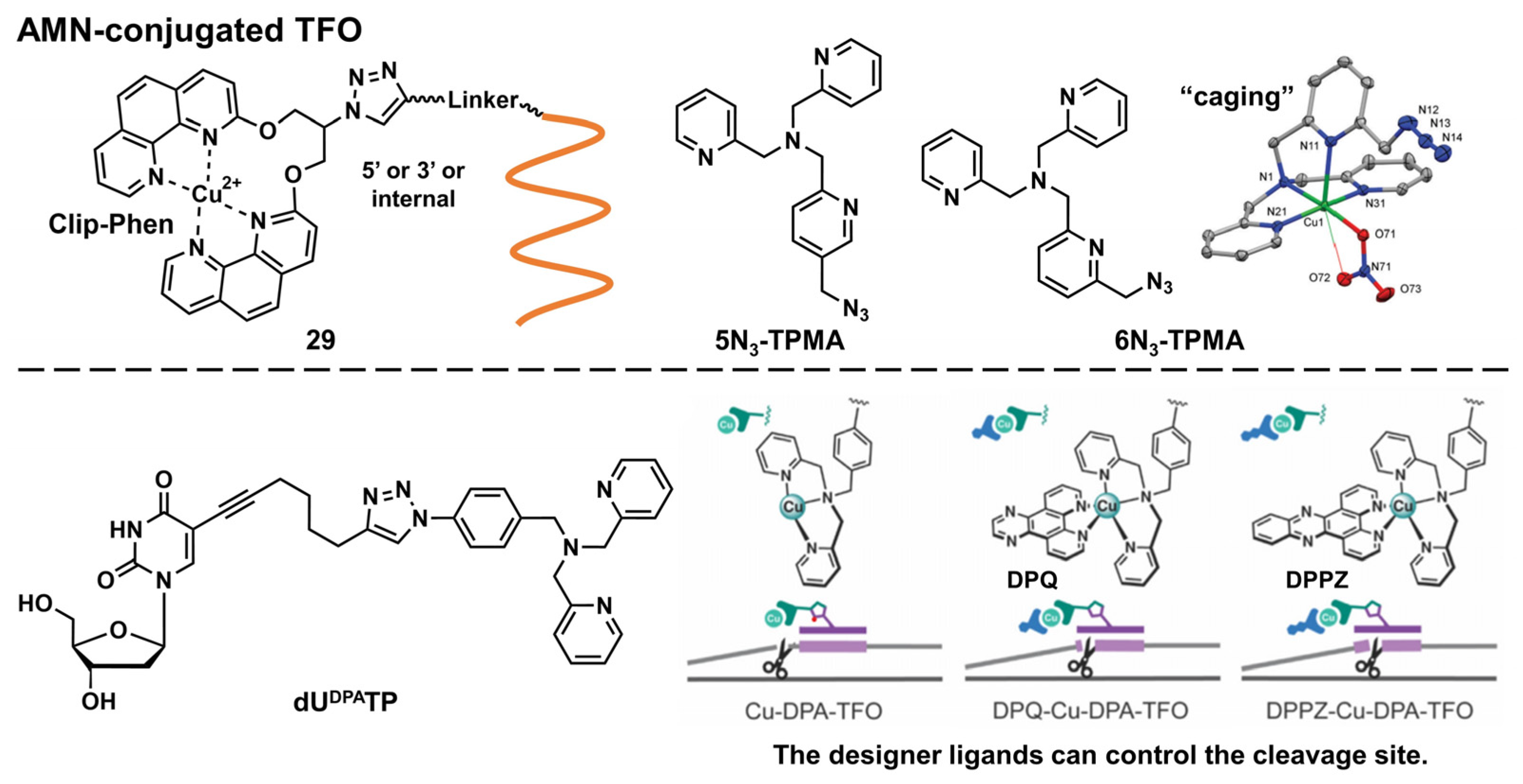Pharmaceutics 15 02515 g007