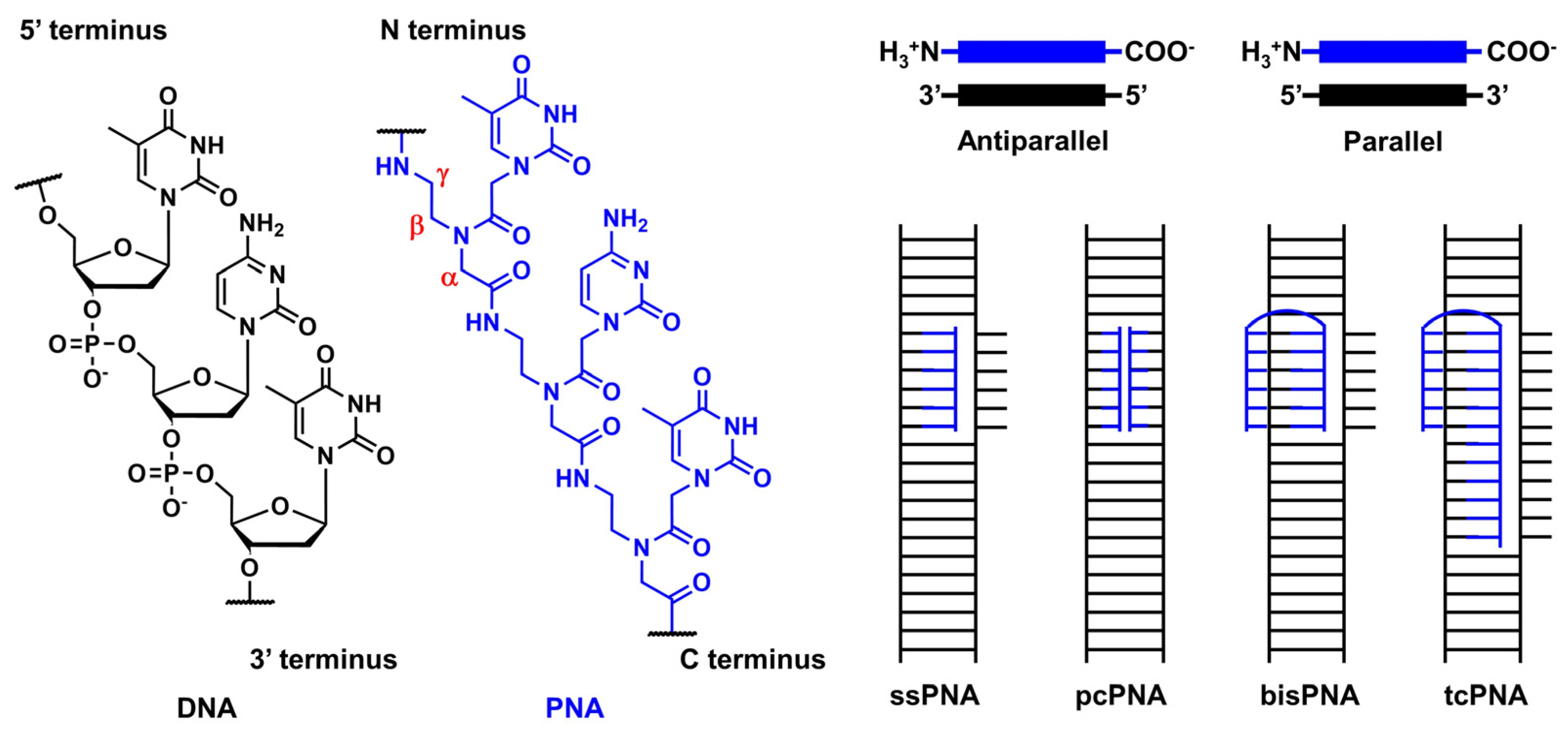 Pharmaceutics 15 02515 g008 Pharmaceutics 15 02515 g008