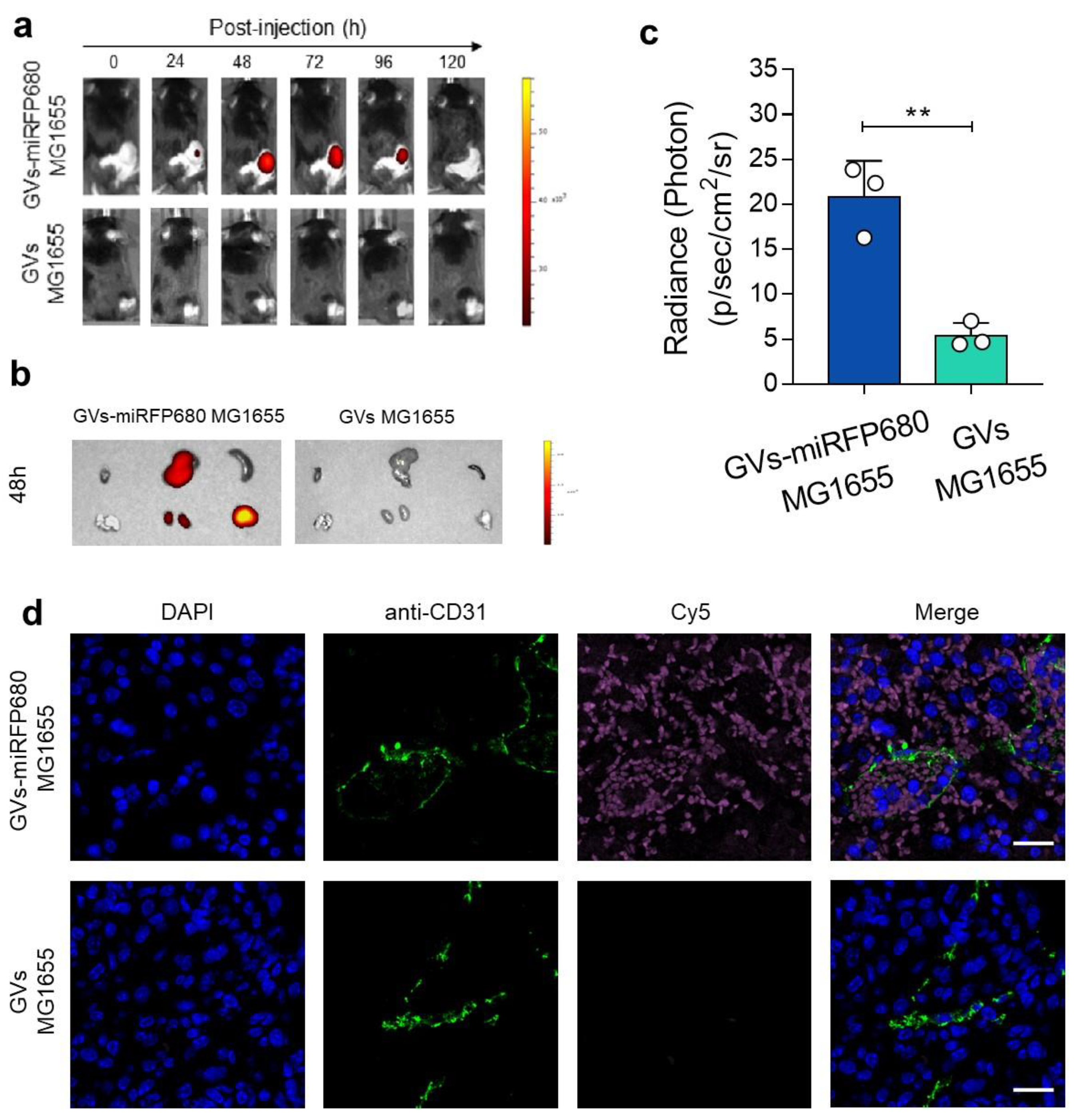 Pharmaceutics 15 02516 g006