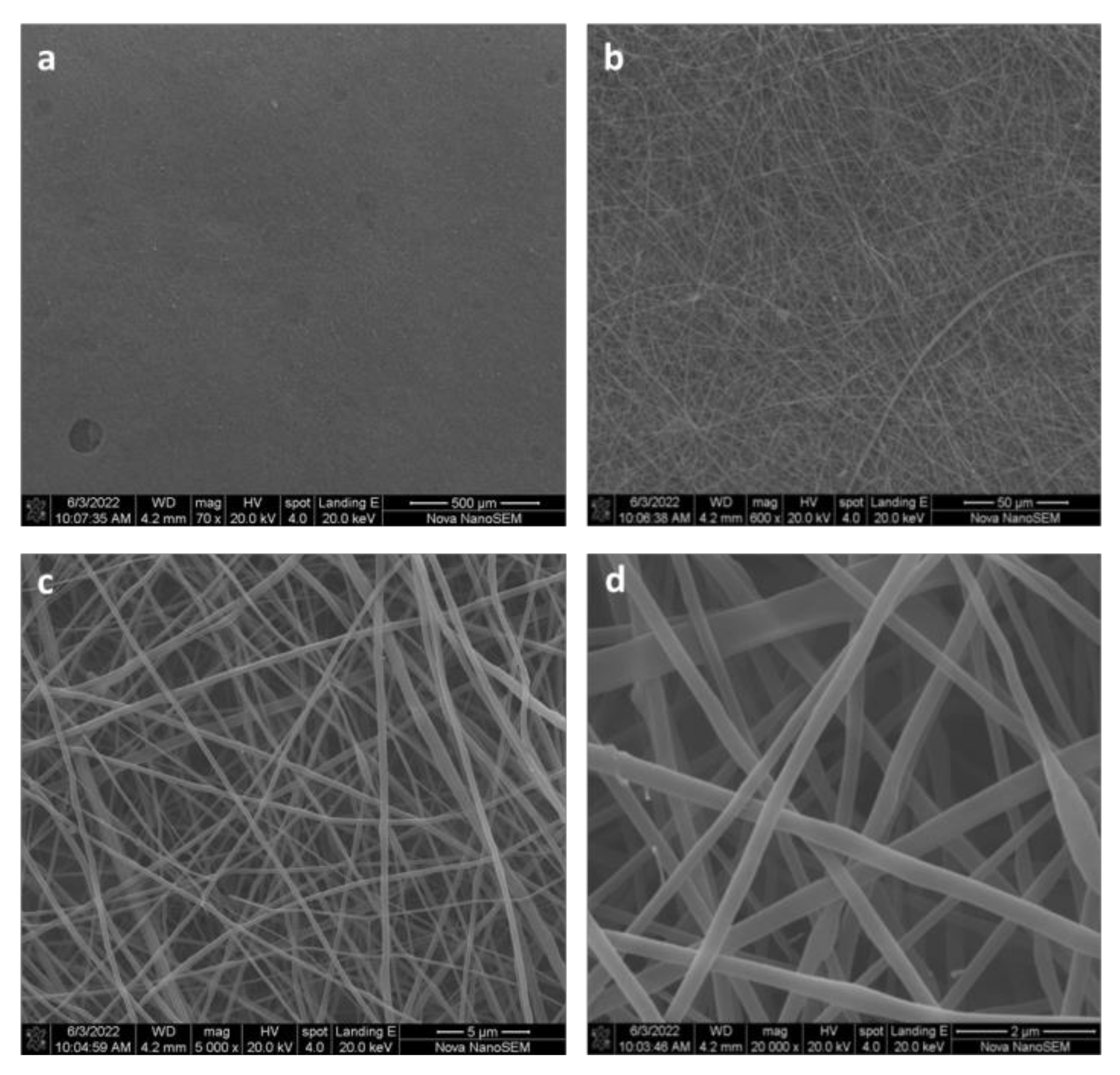 Pharmaceutics 15 02525 g002