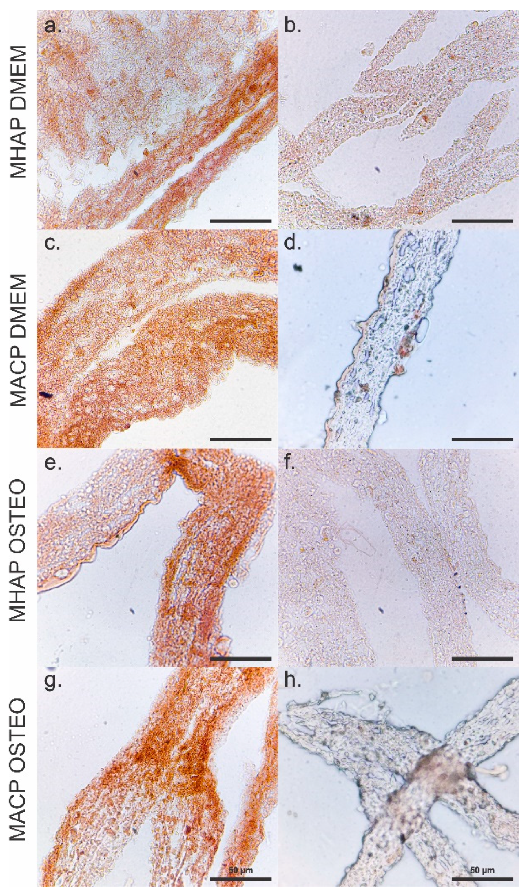 Pharmaceutics 15 02529 g009