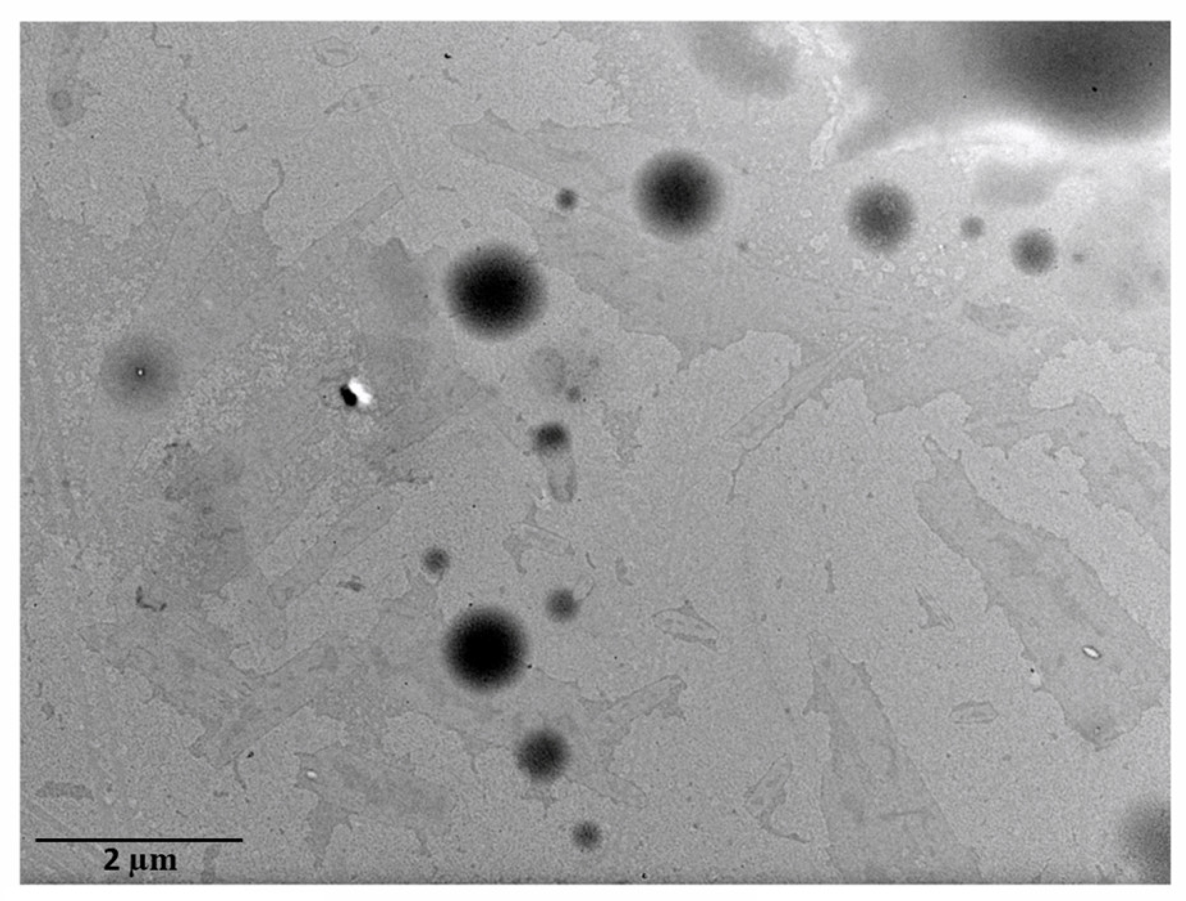 Pharmaceutics 15 02530 g008