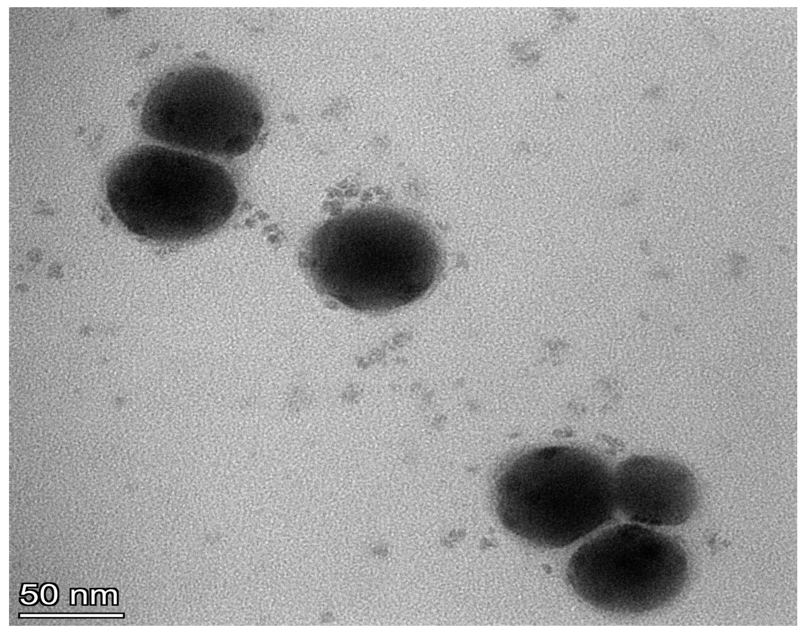 Pharmaceutics 15 02531 g005