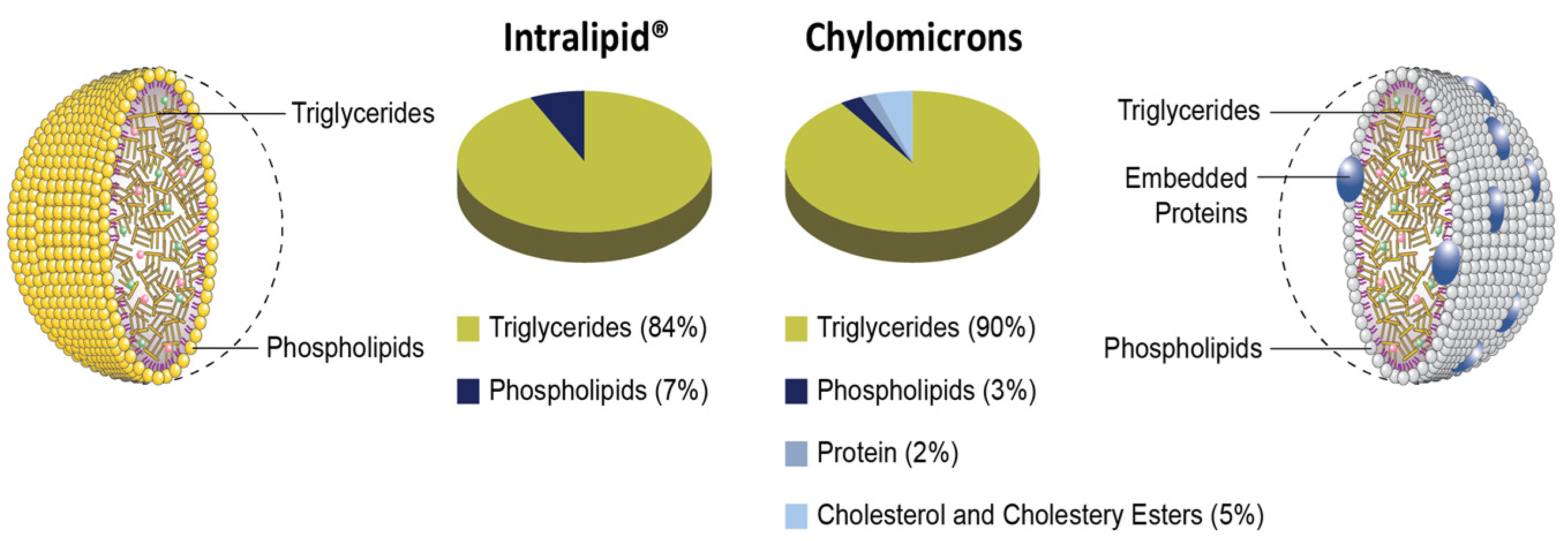 Pharmaceutics 15 02532 g001