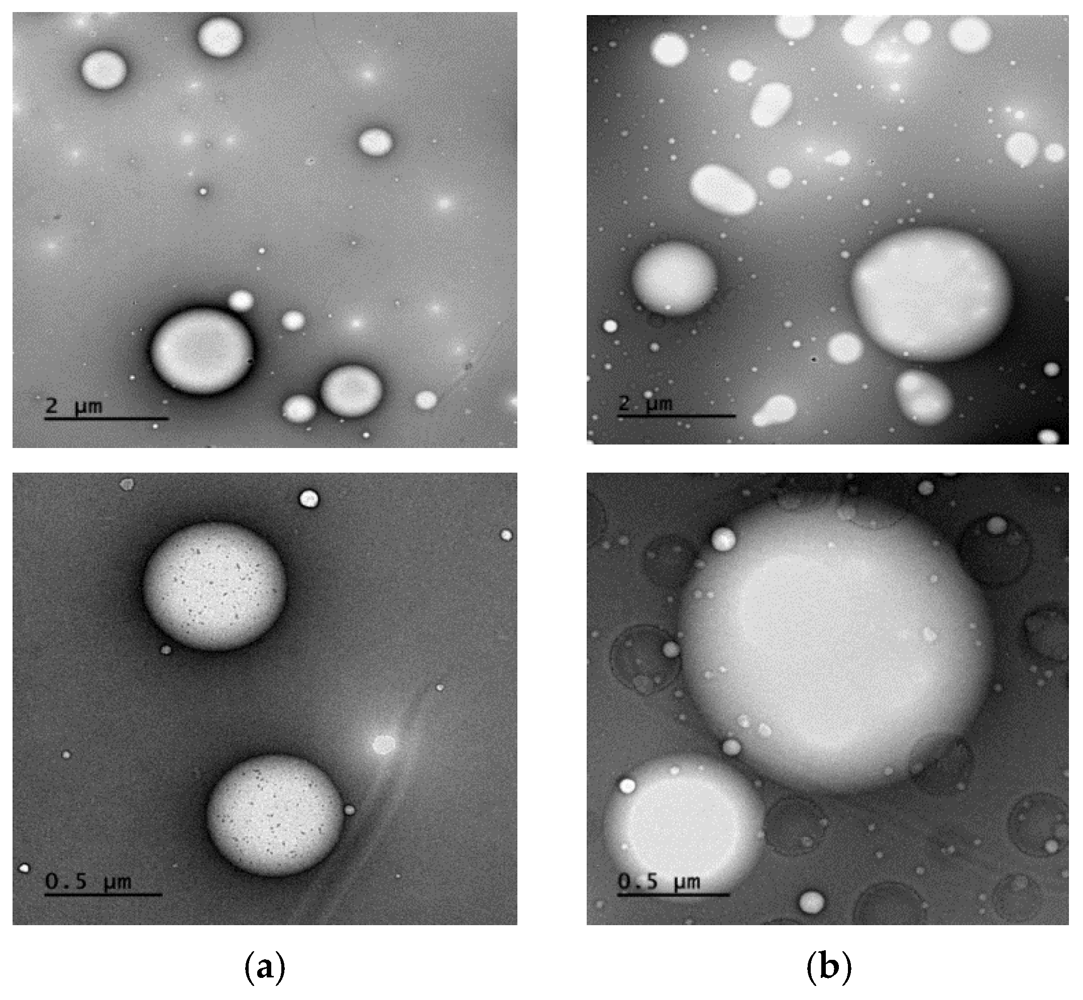 Pharmaceutics 15 02532 g006