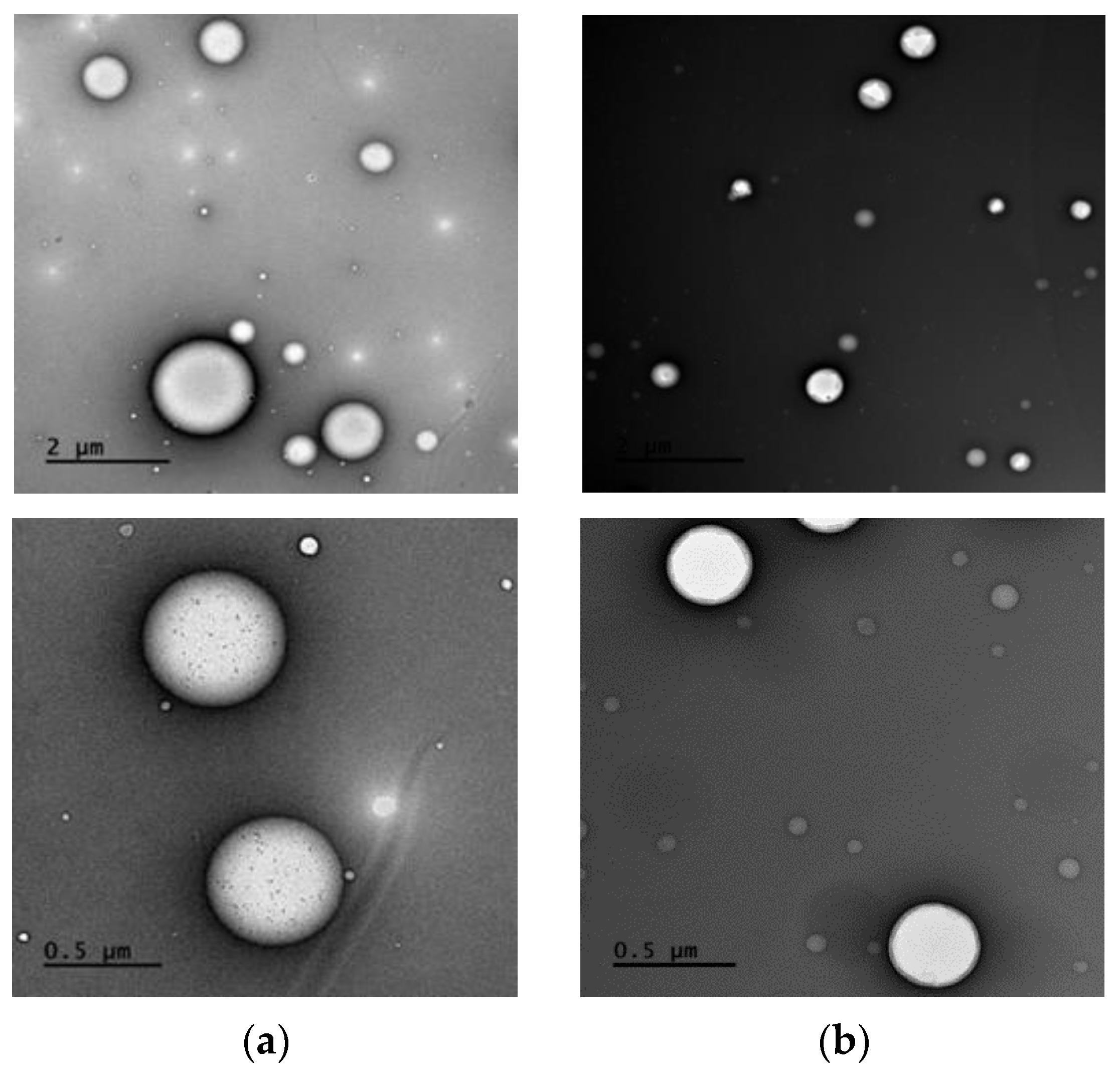 Pharmaceutics 15 02532 g009