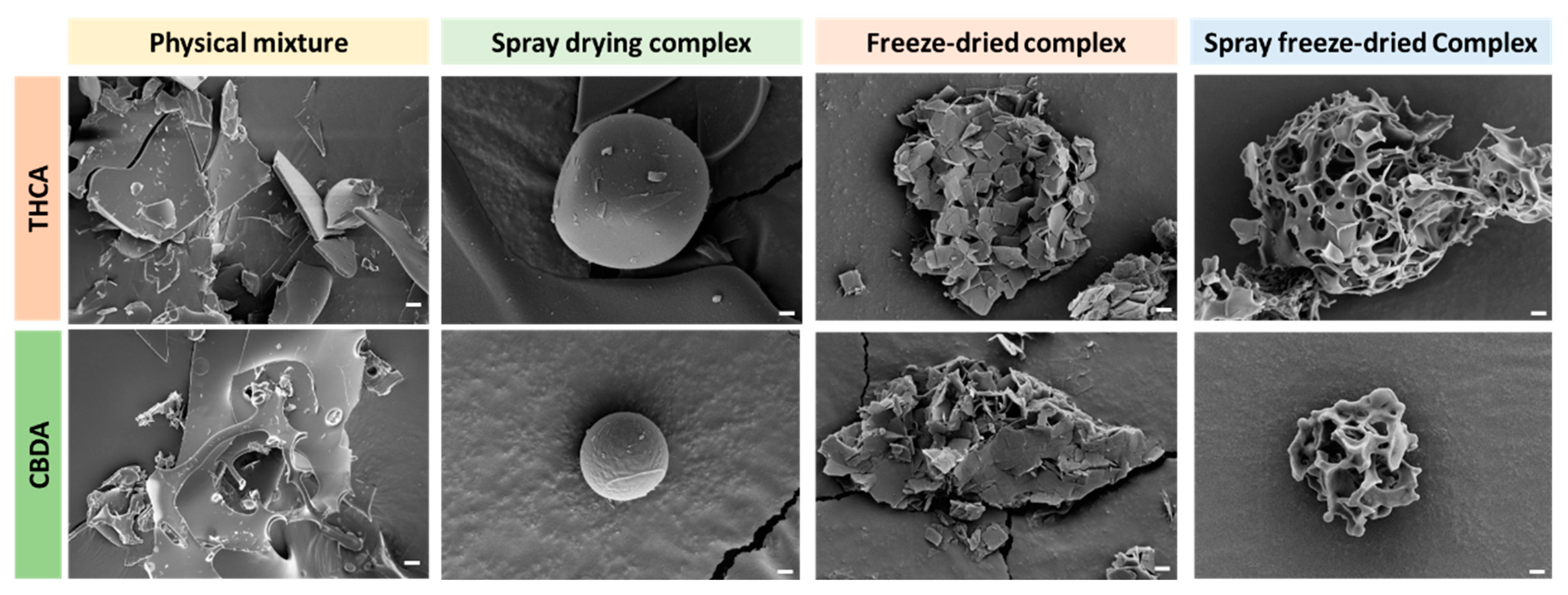 Pharmaceutics 15 02533 g003