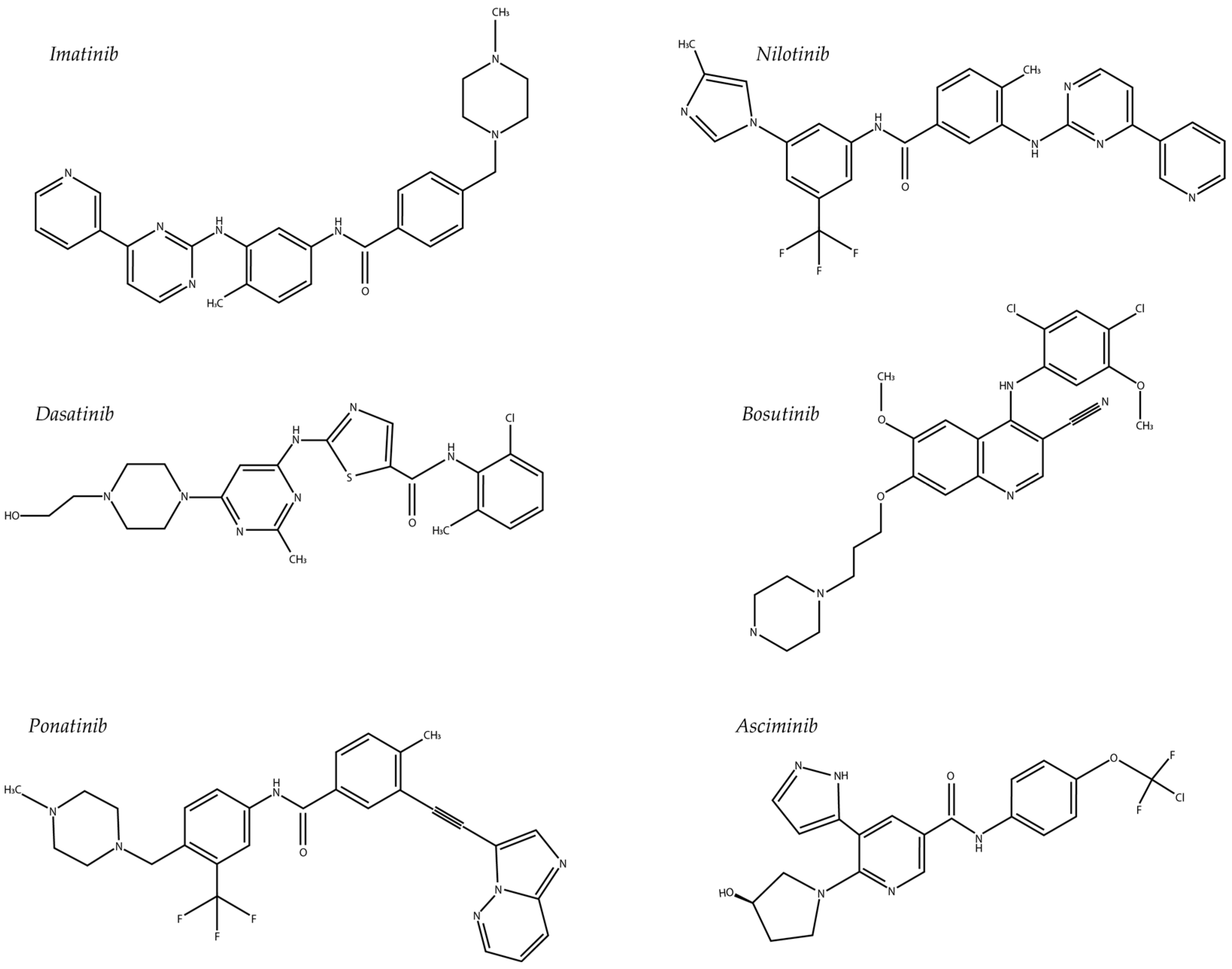 Transporter-Mediated Cellular Distribution of Tyrosine