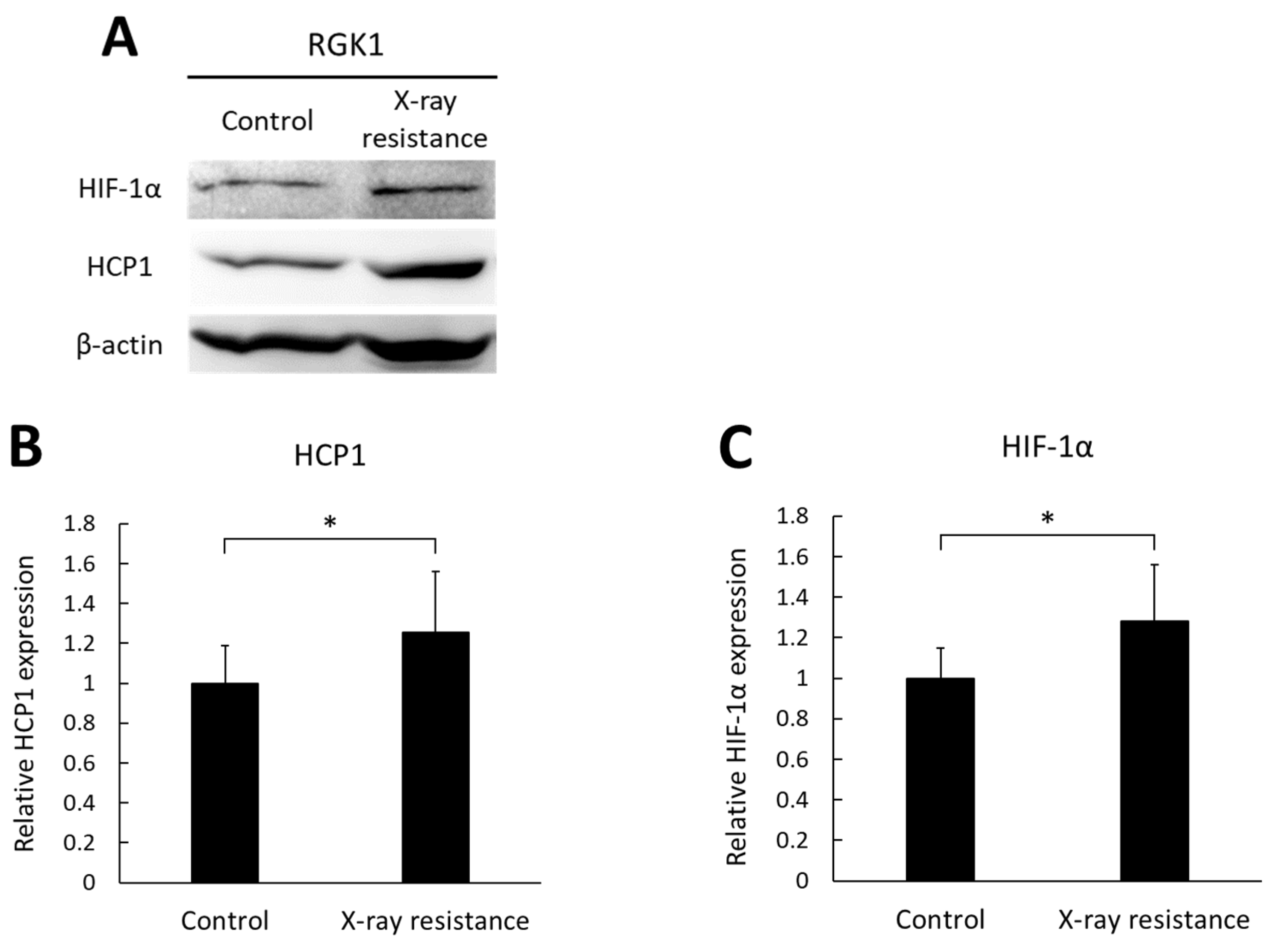 Pharmaceutics 15 02536 g003