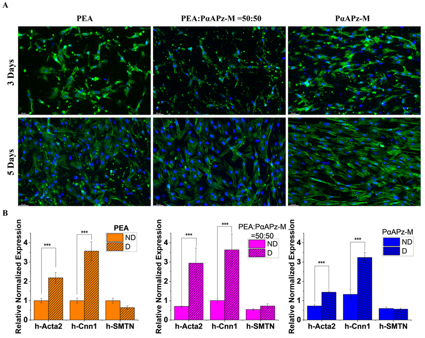 Pharmaceutics 15 02546 g006
