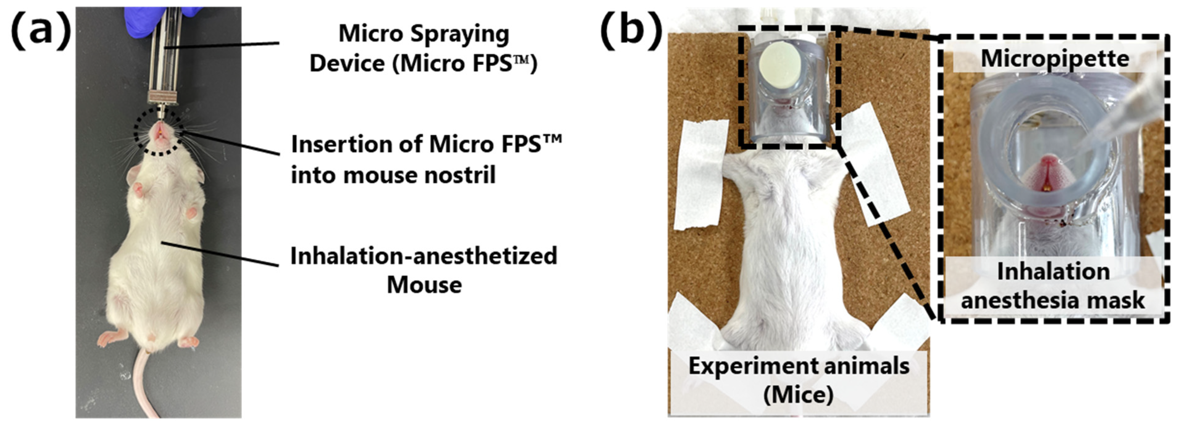 Pharmaceutics 15 02553 g002