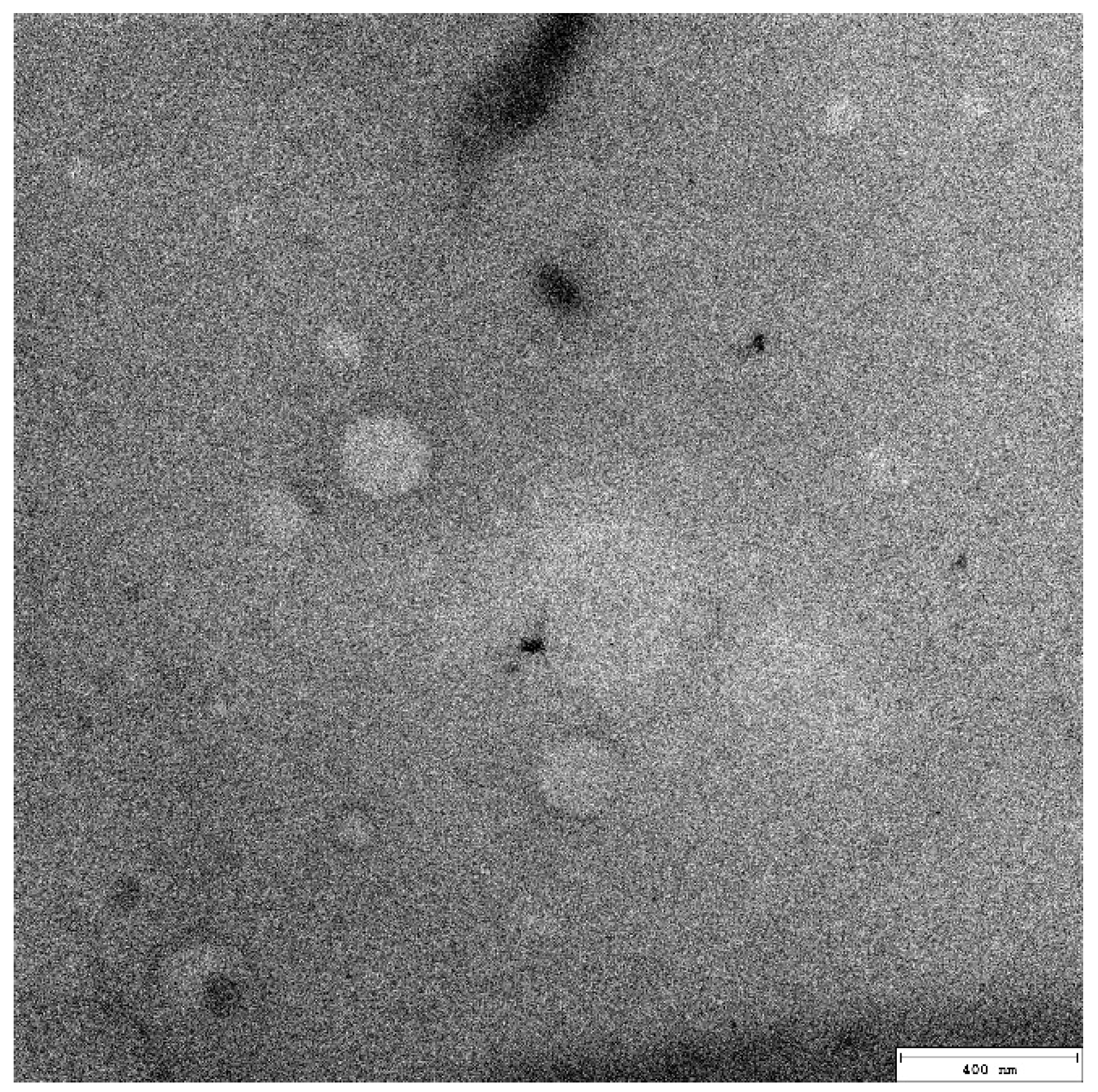 Pharmaceutics 15 02559 g004