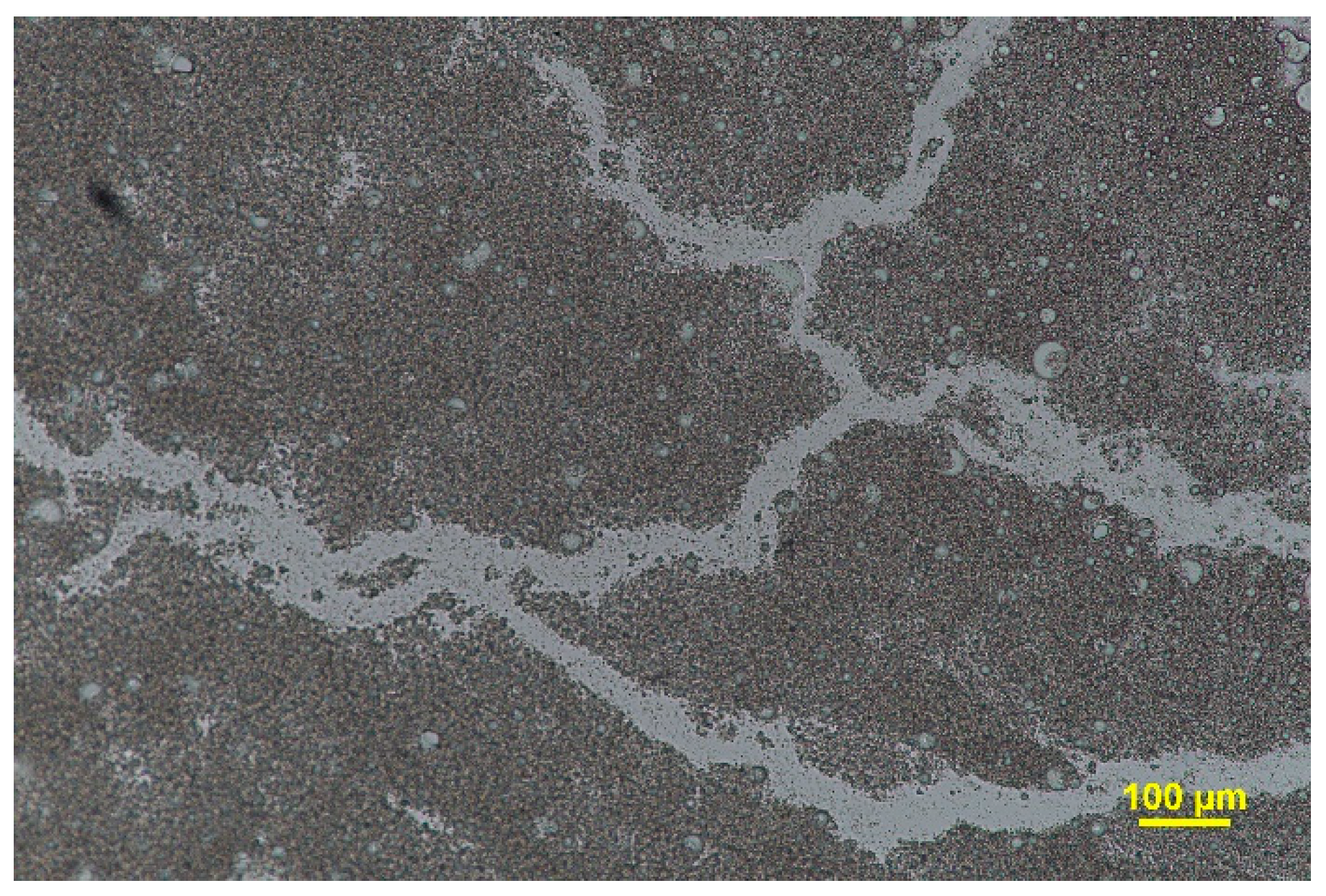 Pharmaceutics 15 02559 g006