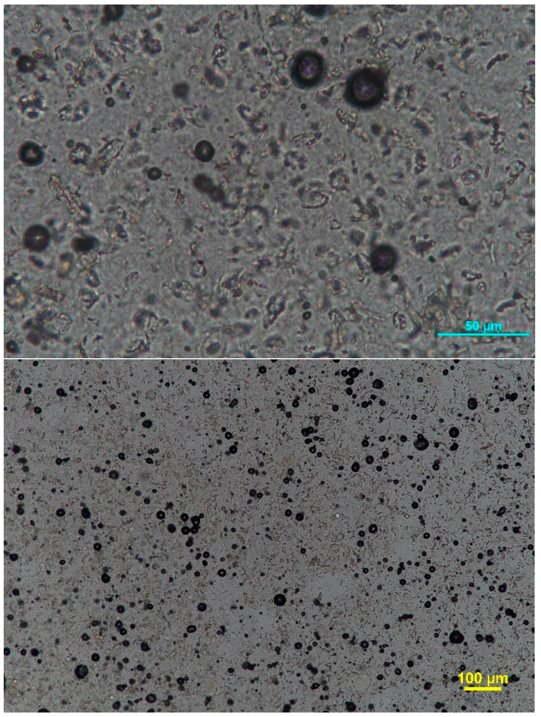 Pharmaceutics 15 02559 g007