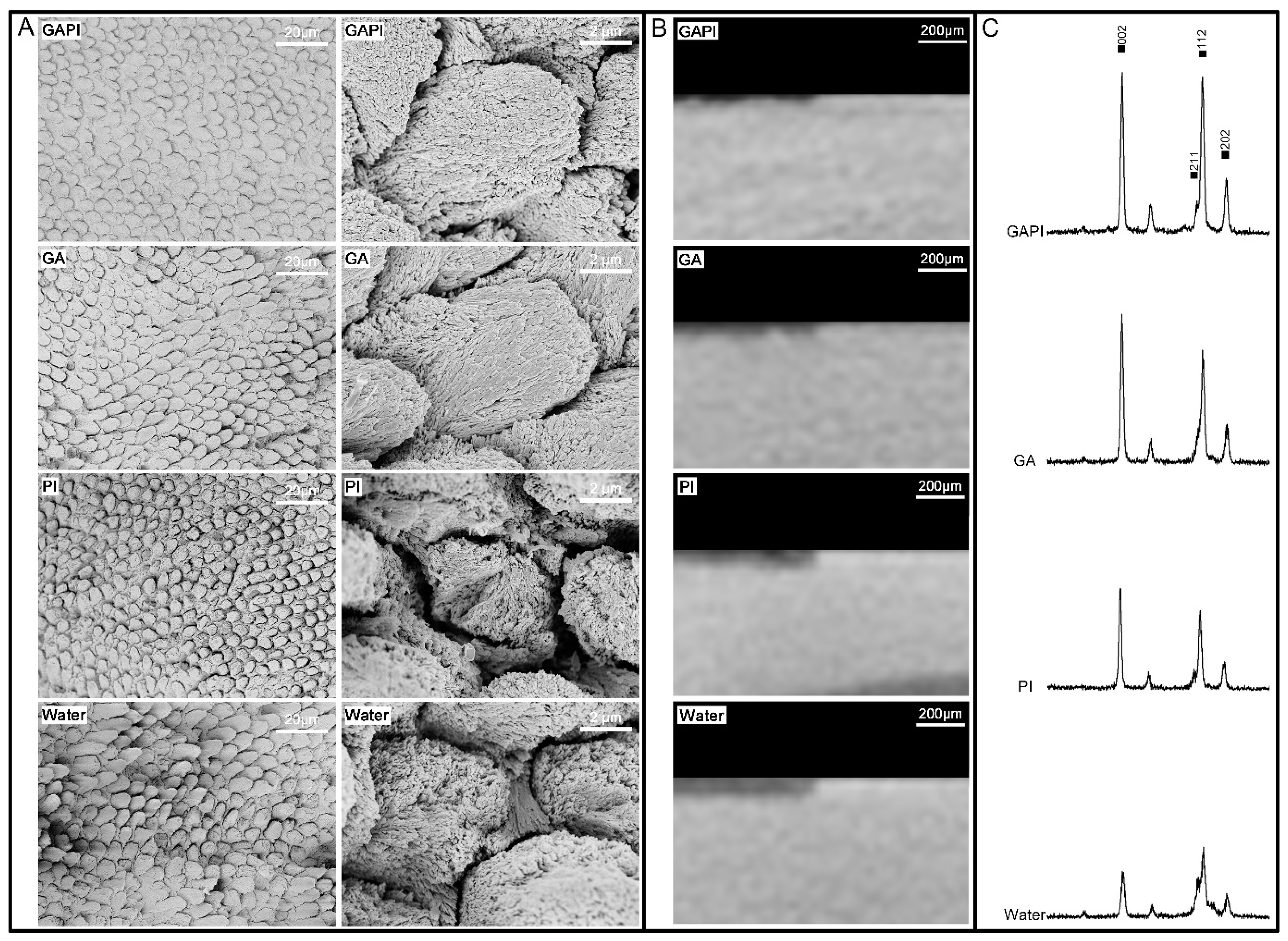 Pharmaceutics 15 02560 g003