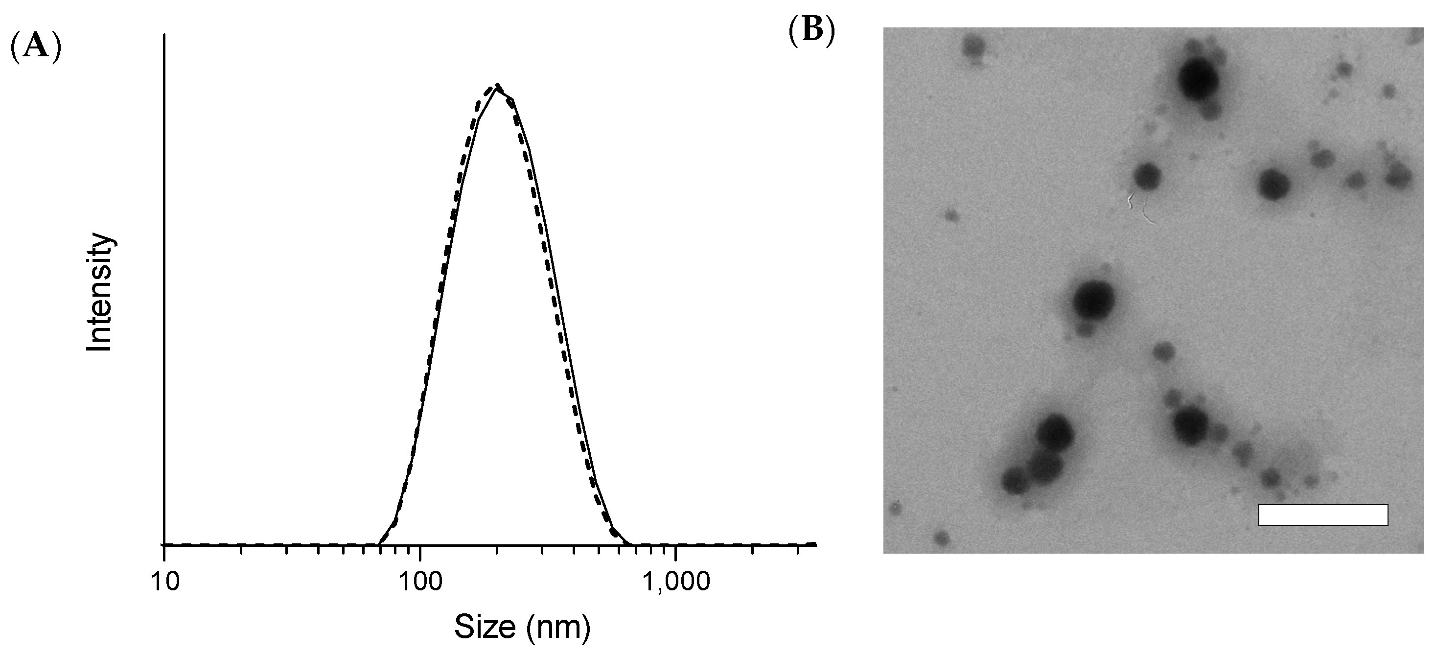 Pharmaceutics 15 02562 g002