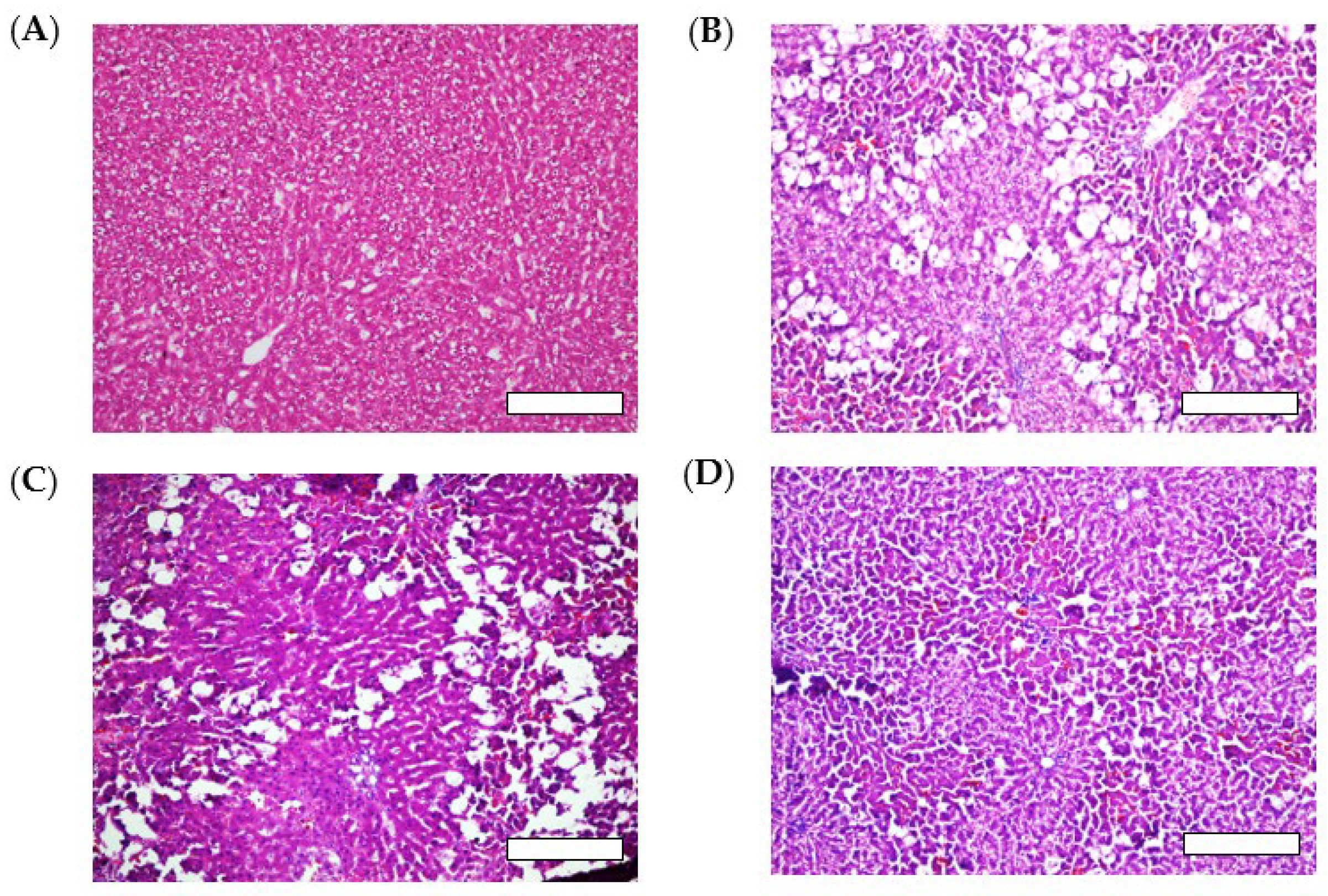 Pharmaceutics 15 02562 g005