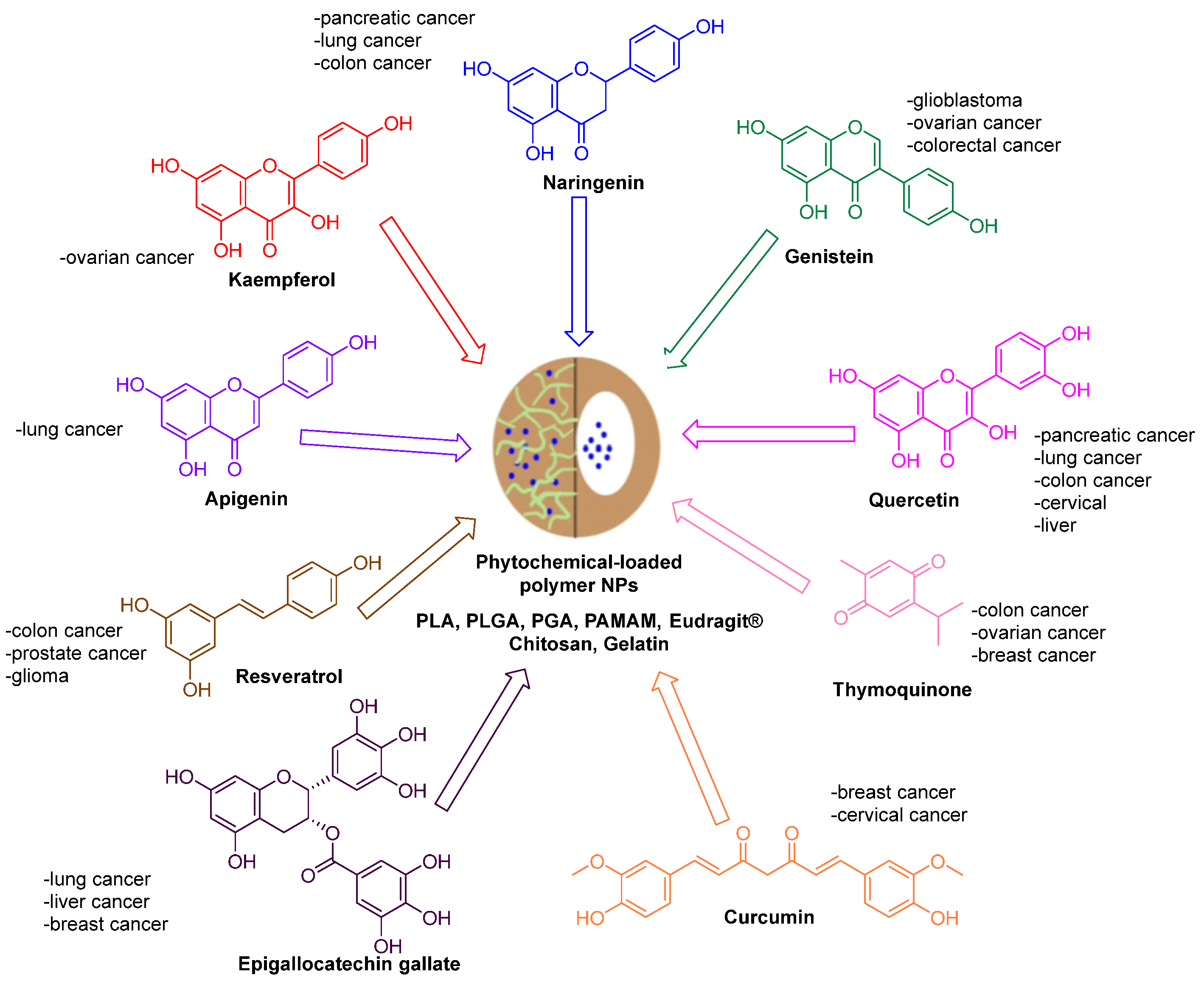 Pharmaceutics 15 02566 g001