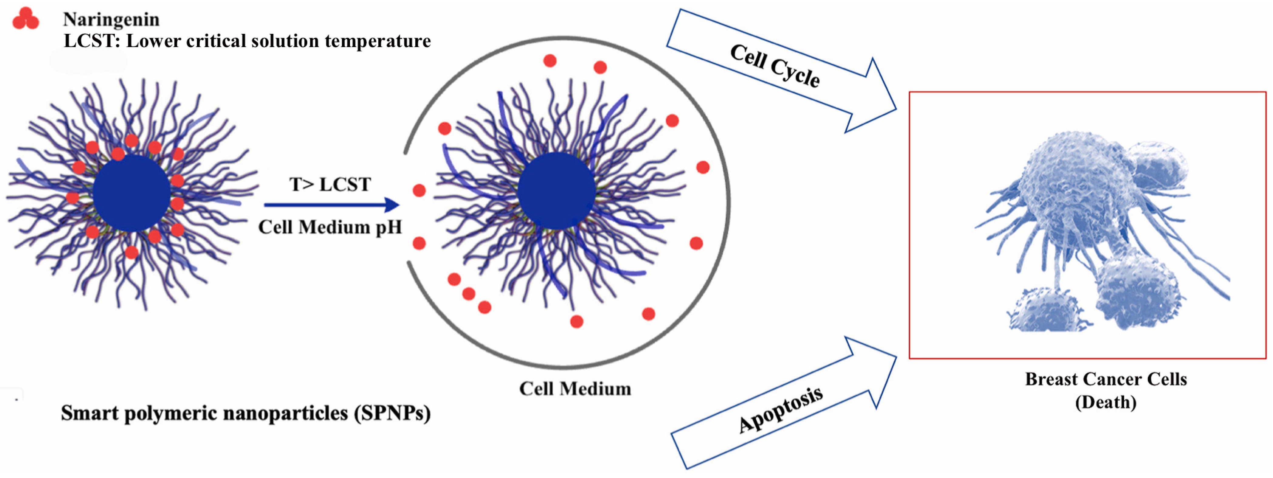 Pharmaceutics 15 02566 g002