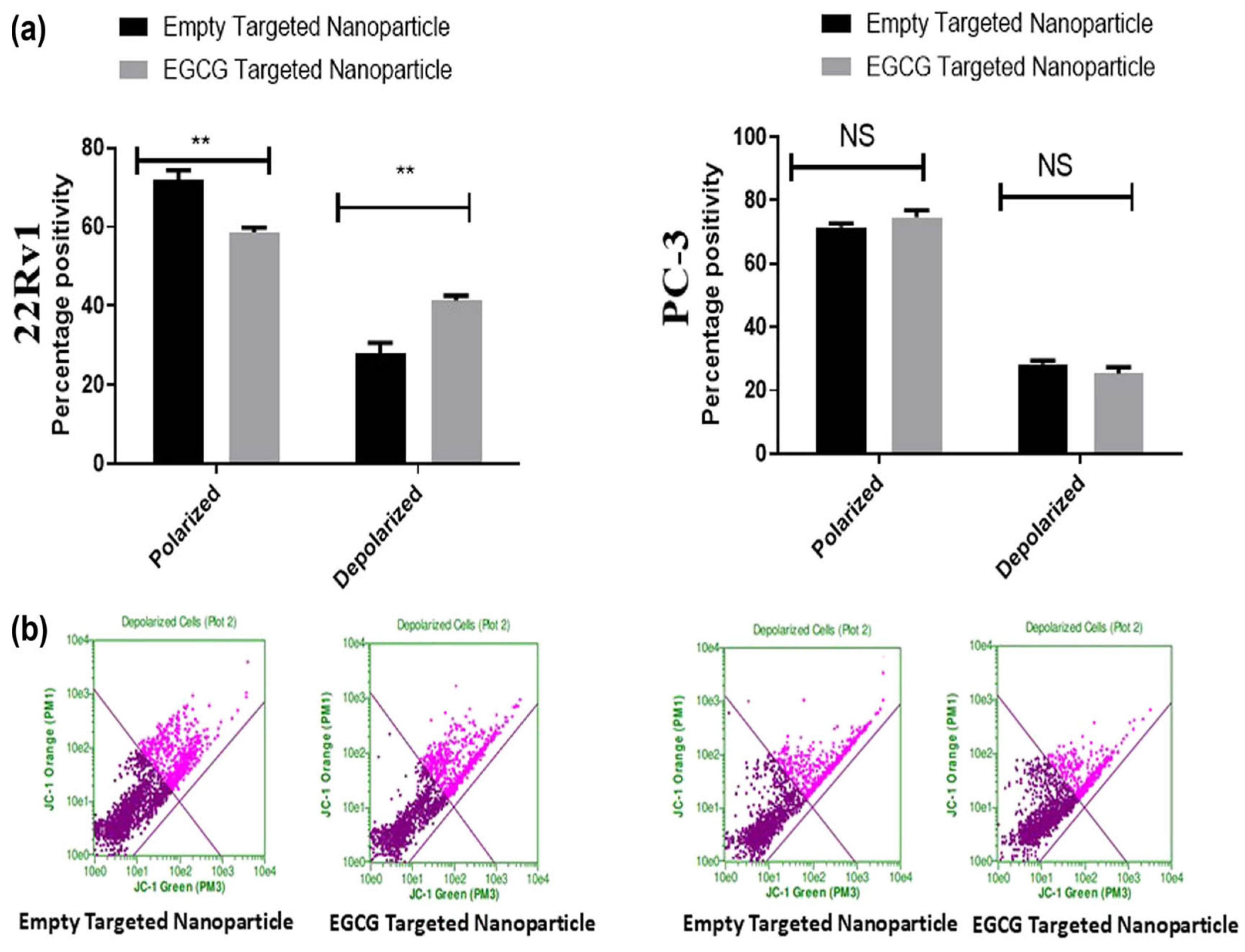 Pharmaceutics 15 02566 g003