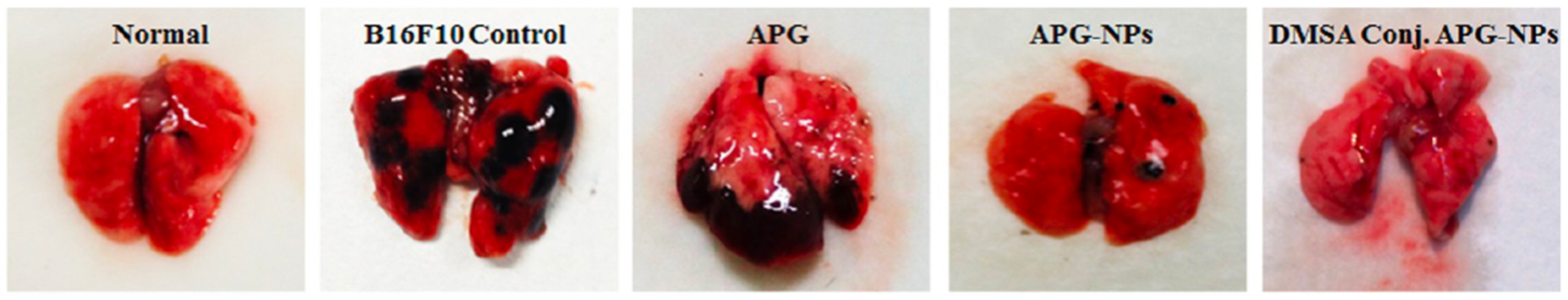 Pharmaceutics 15 02566 g006