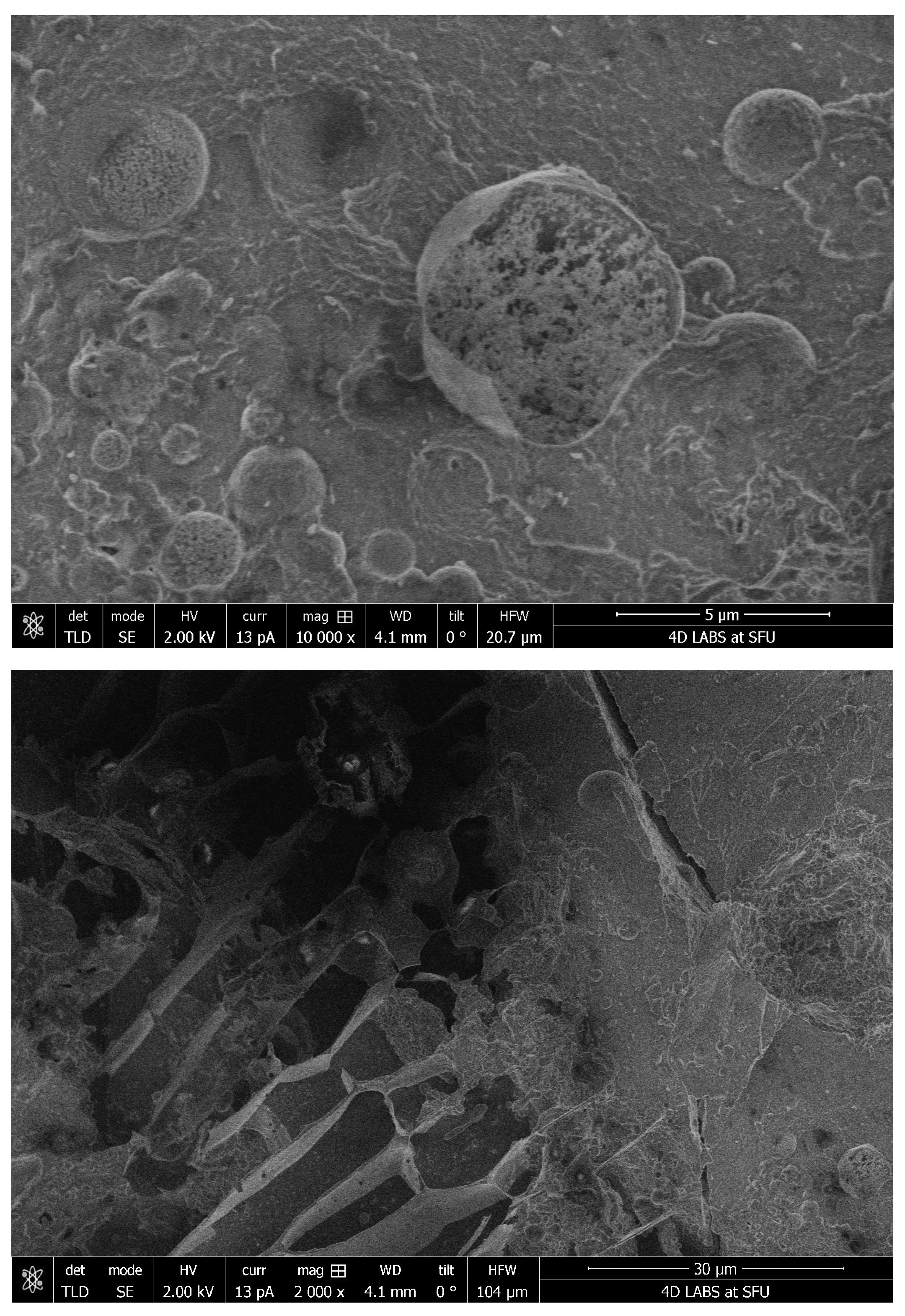 Pharmaceutics 15 02567 g007 Pharmaceutics 15 02567 g007