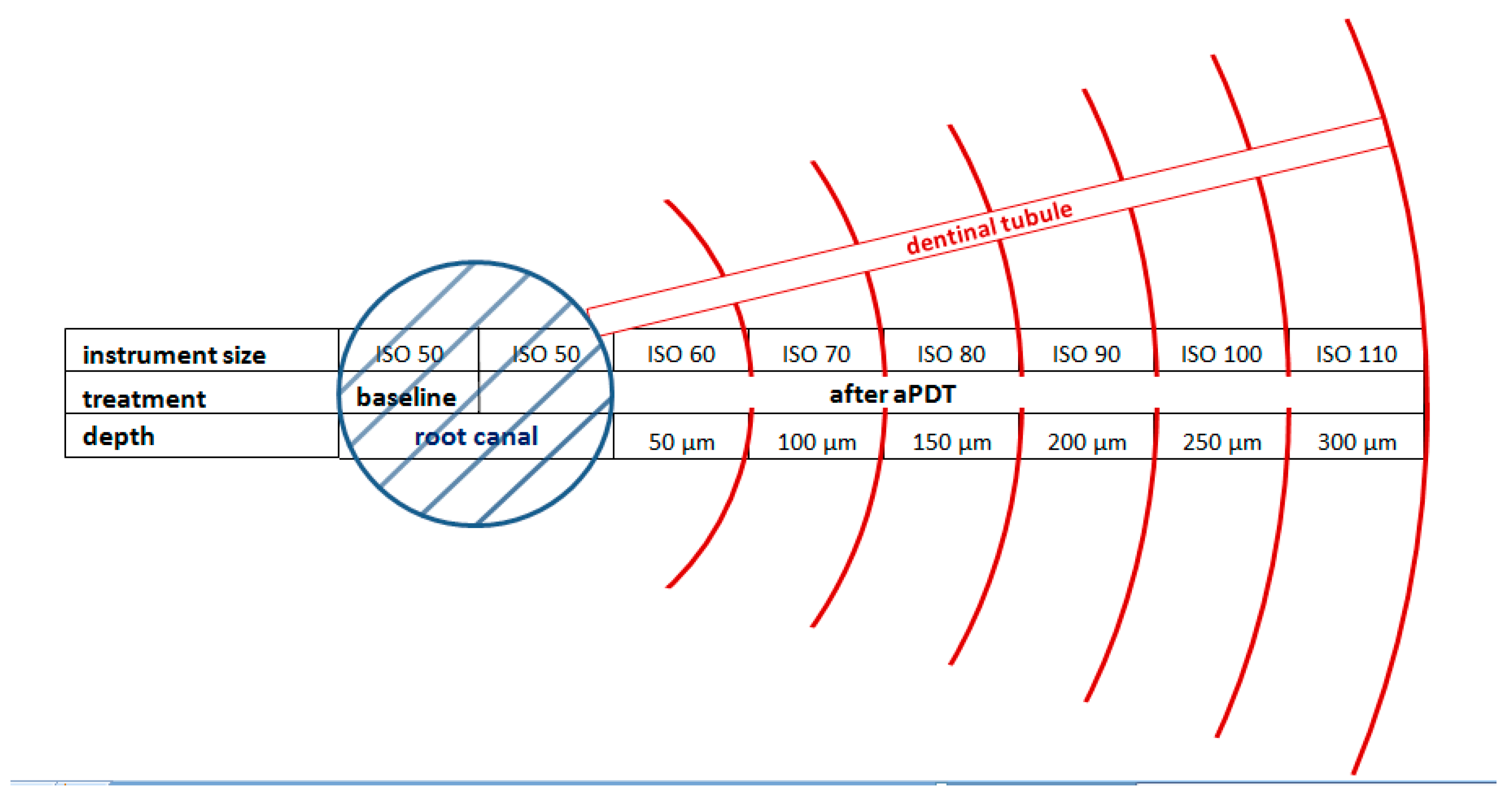 Pharmaceutics 15 02572 g003