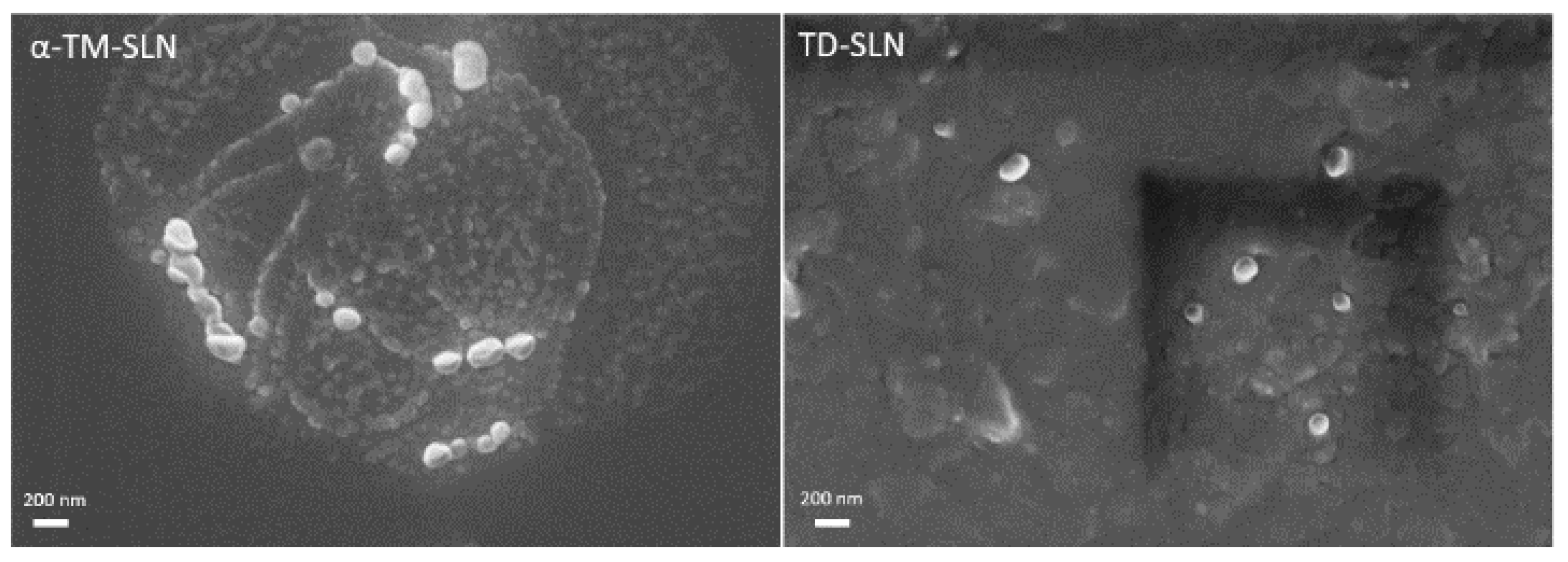 Pharmaceutics 15 02573 g004