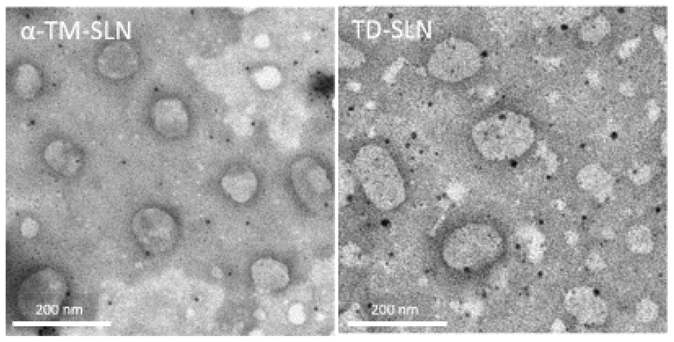 Pharmaceutics 15 02573 g005